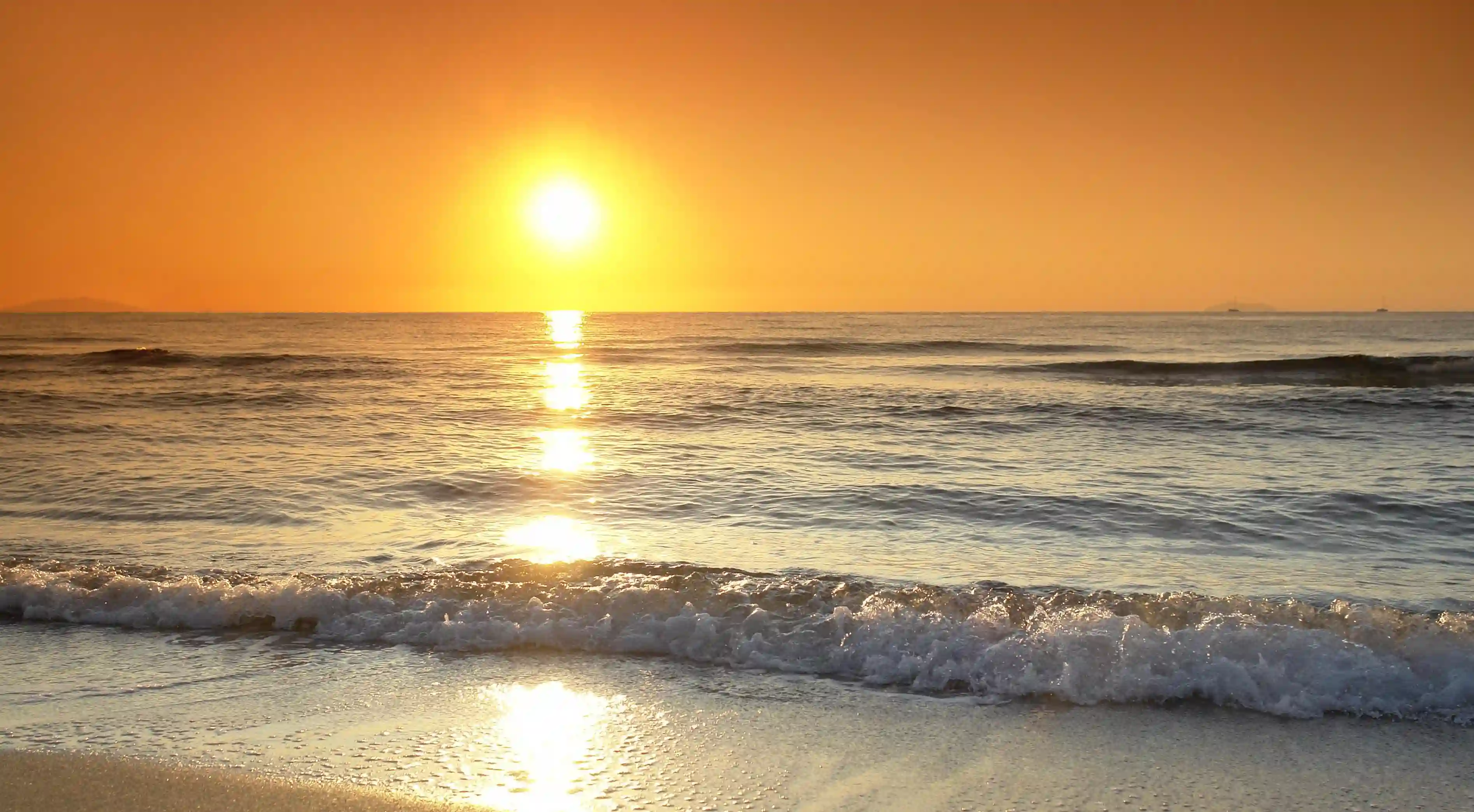 揭示女性心意的九個信號：你是否能讀懂她的心藍圖？