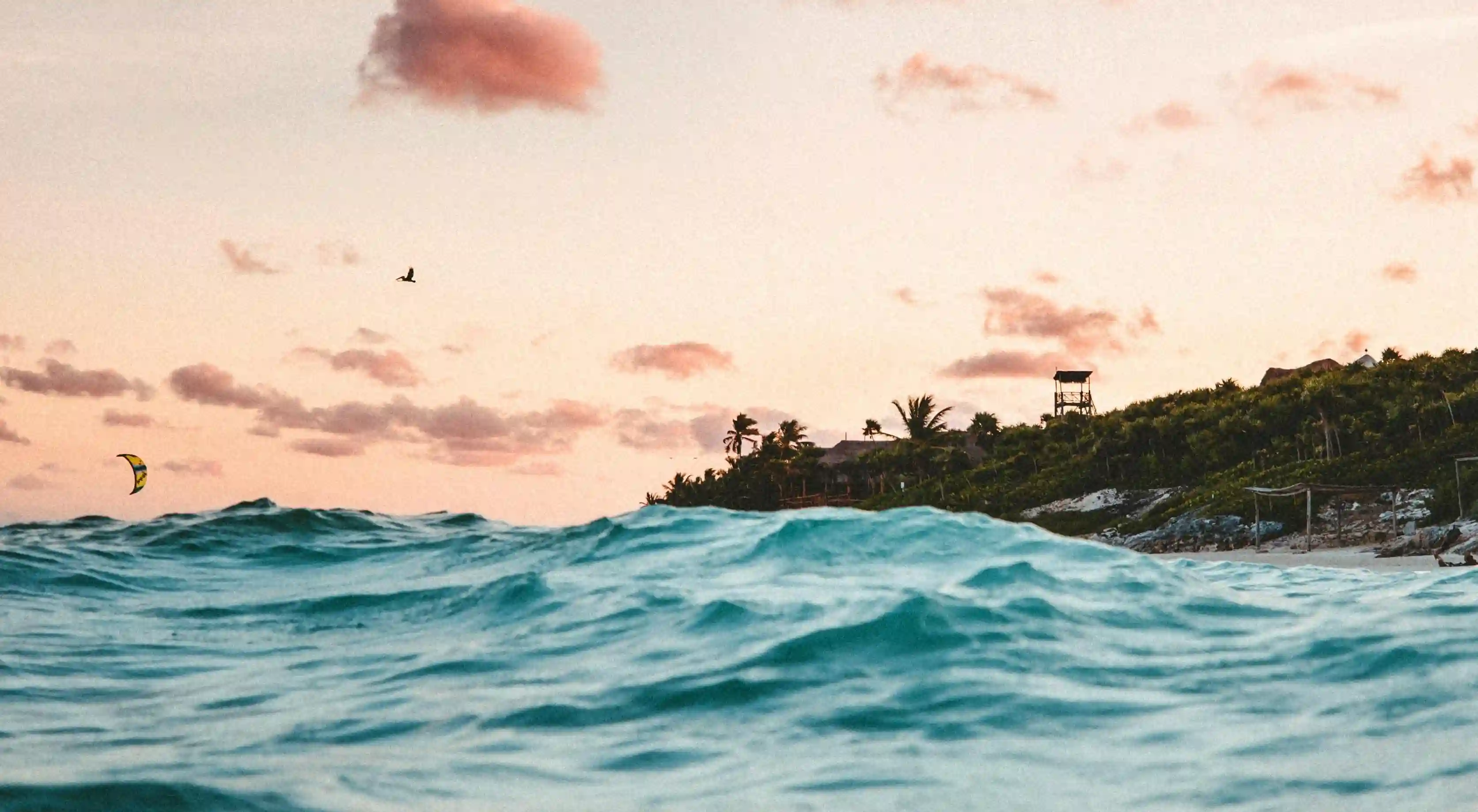 愛情的真諦：如何讓愛情不再將就，找到真正的幸福?