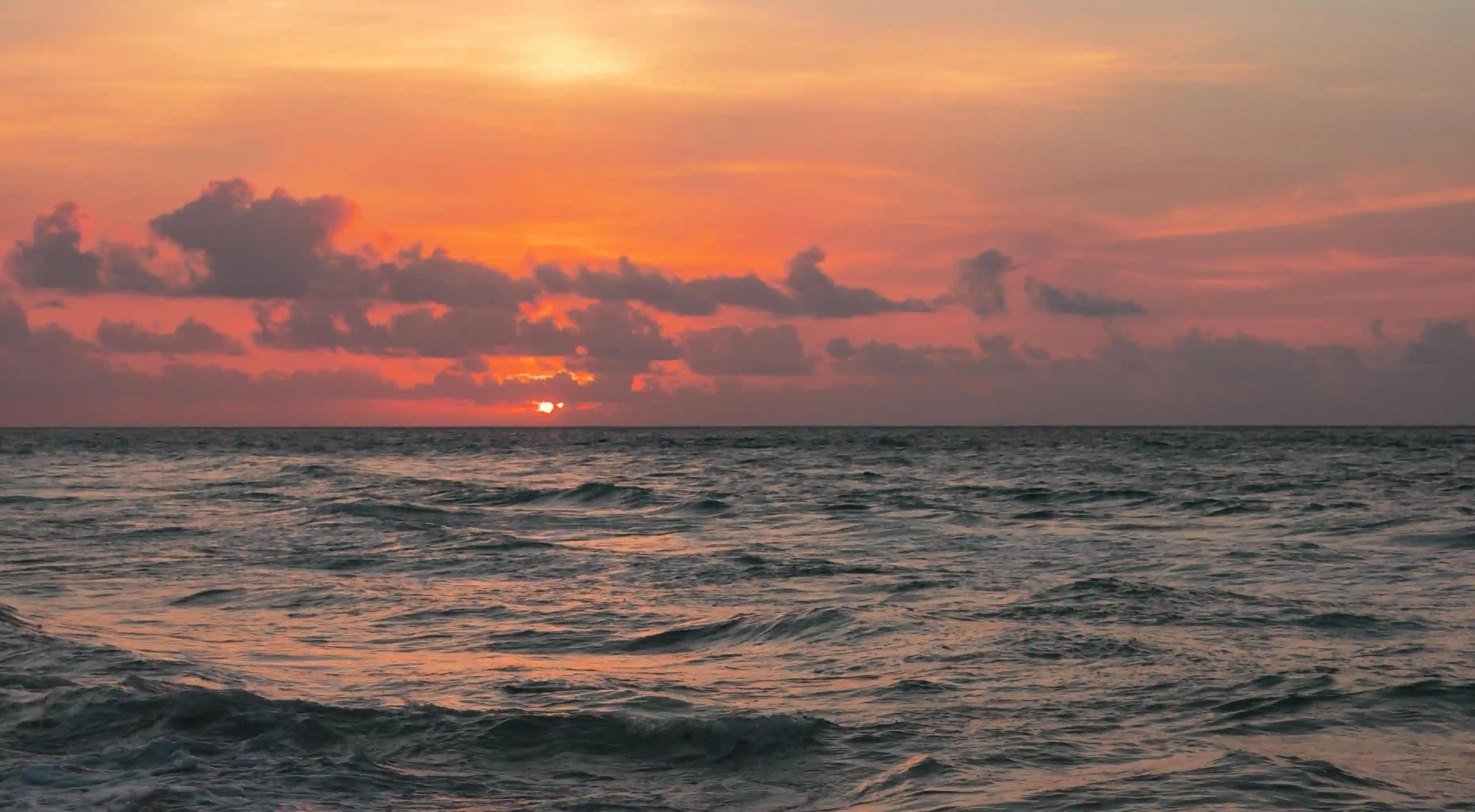 揭開愛情的面紗：你真的知道喜歡一個人的感覺嗎？