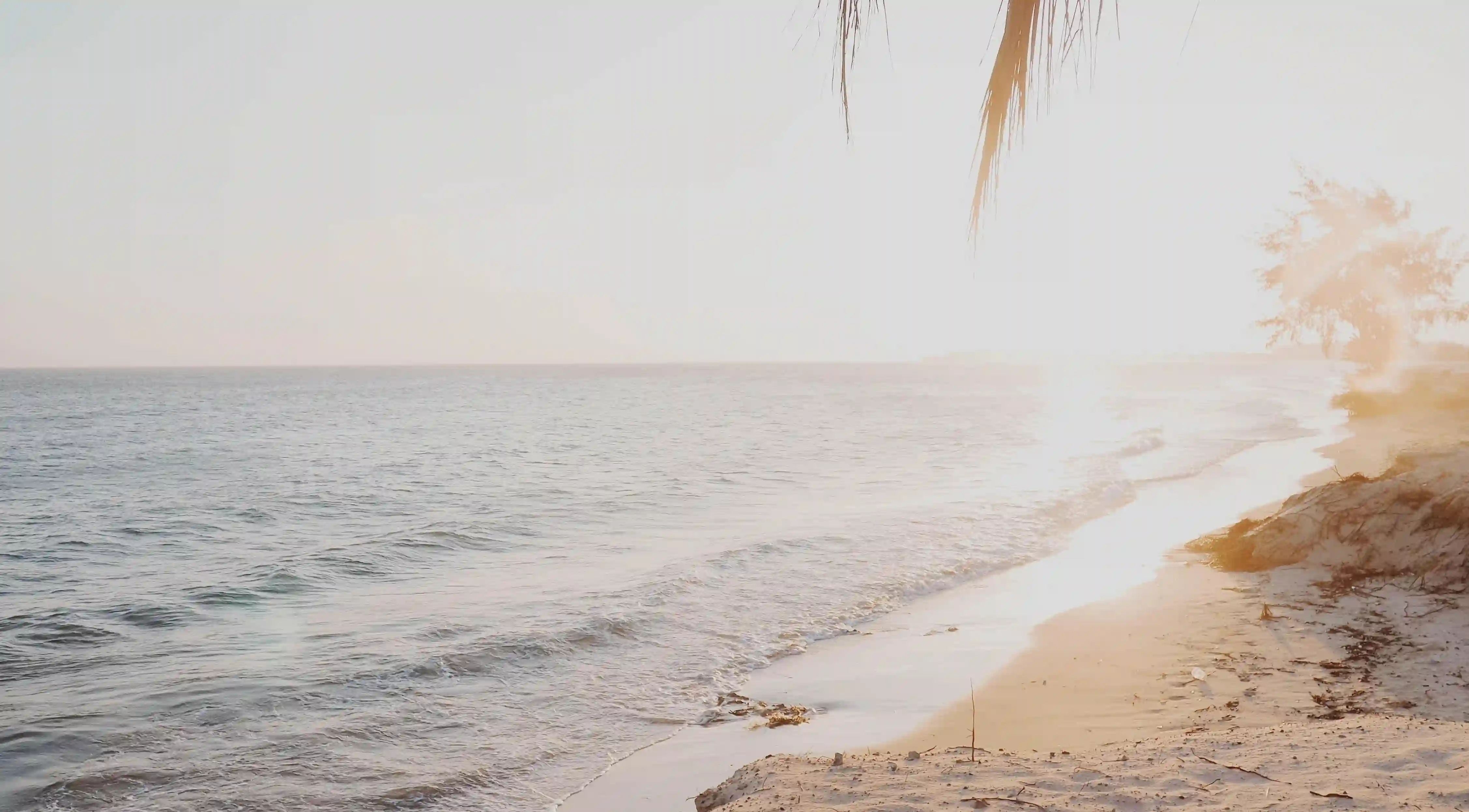 探討現代婚姻的迷思：為什麼結婚已不再是愛的終點？