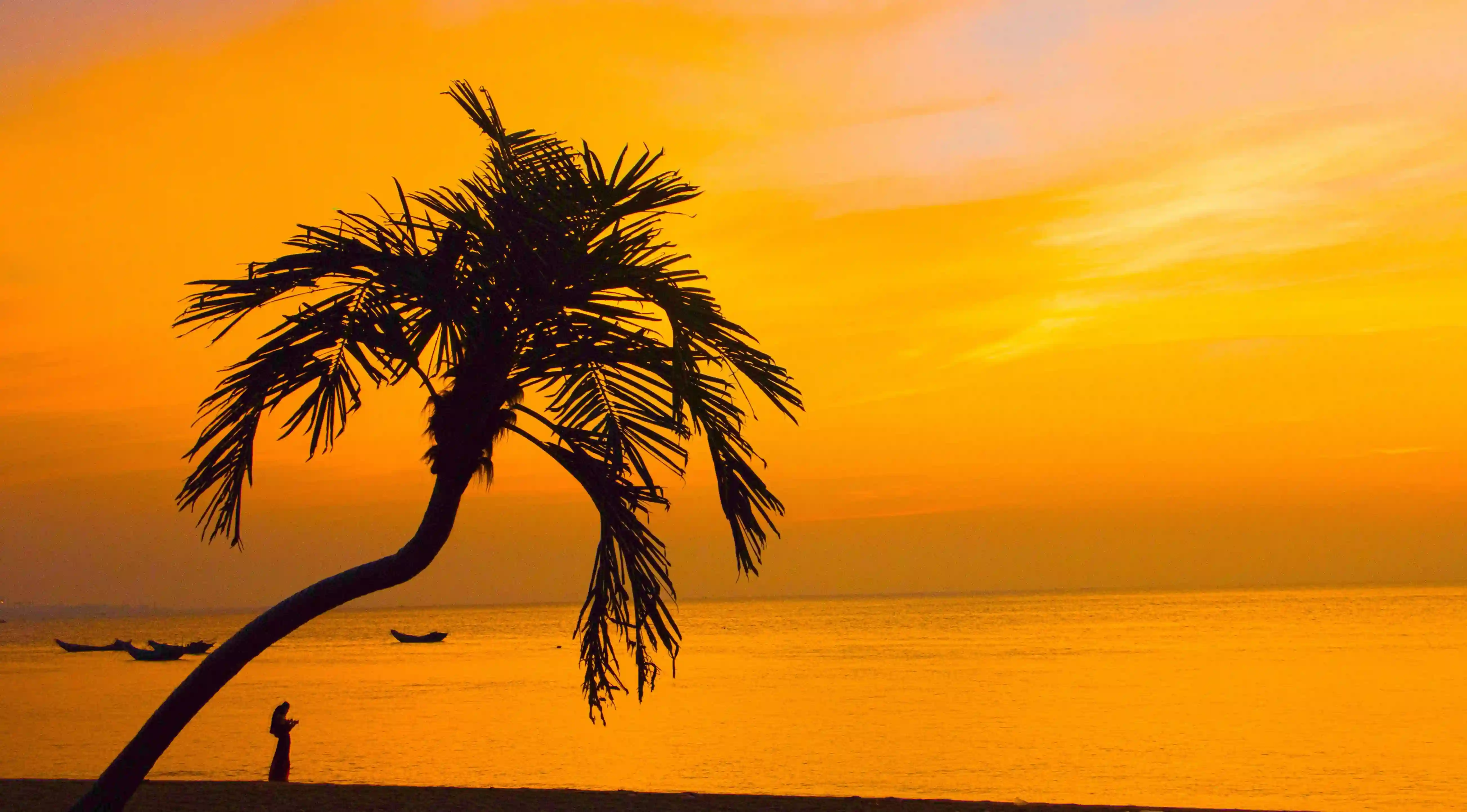 揭開吸引力的秘密：提升男性魅力的八大關鍵身體特徵