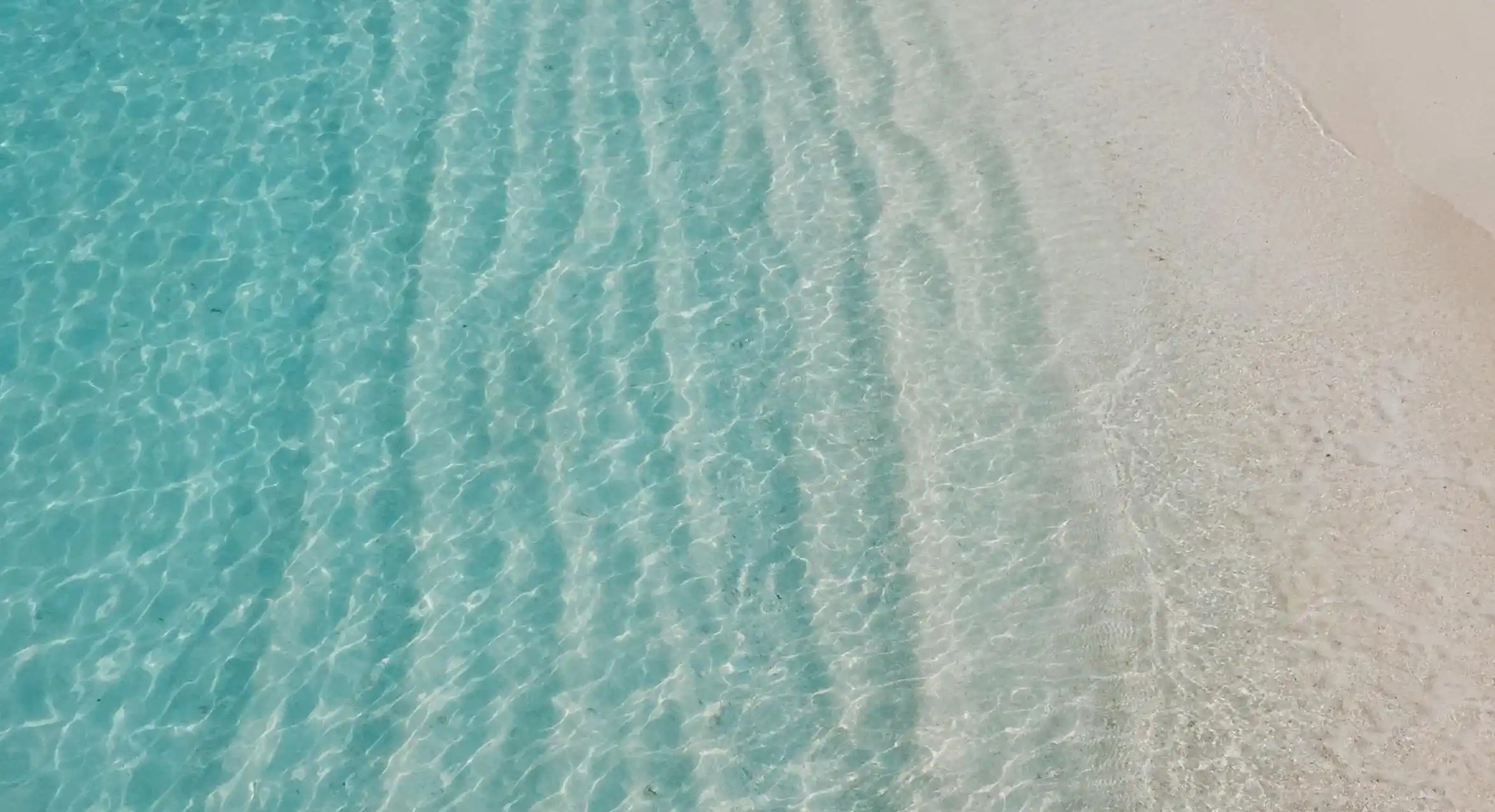 為什麼男人更容易被有男朋友的女性吸引？揭開這個心理現象的神秘面紗