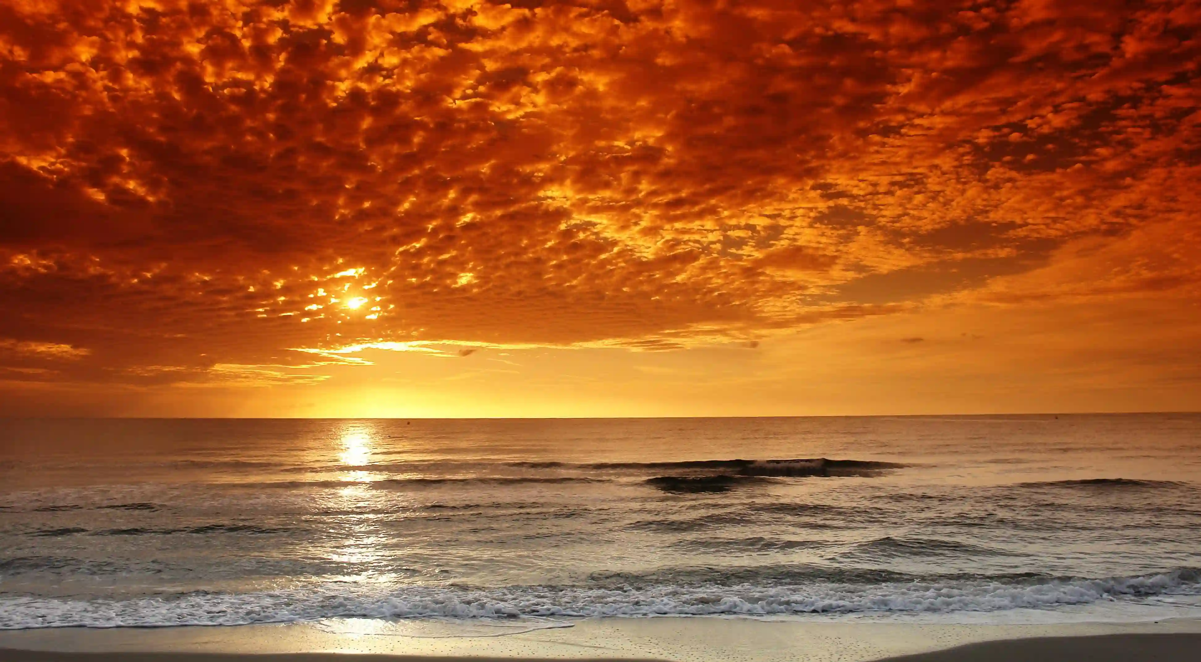 愛情的七大特徵：您真的了解愛情嗎？