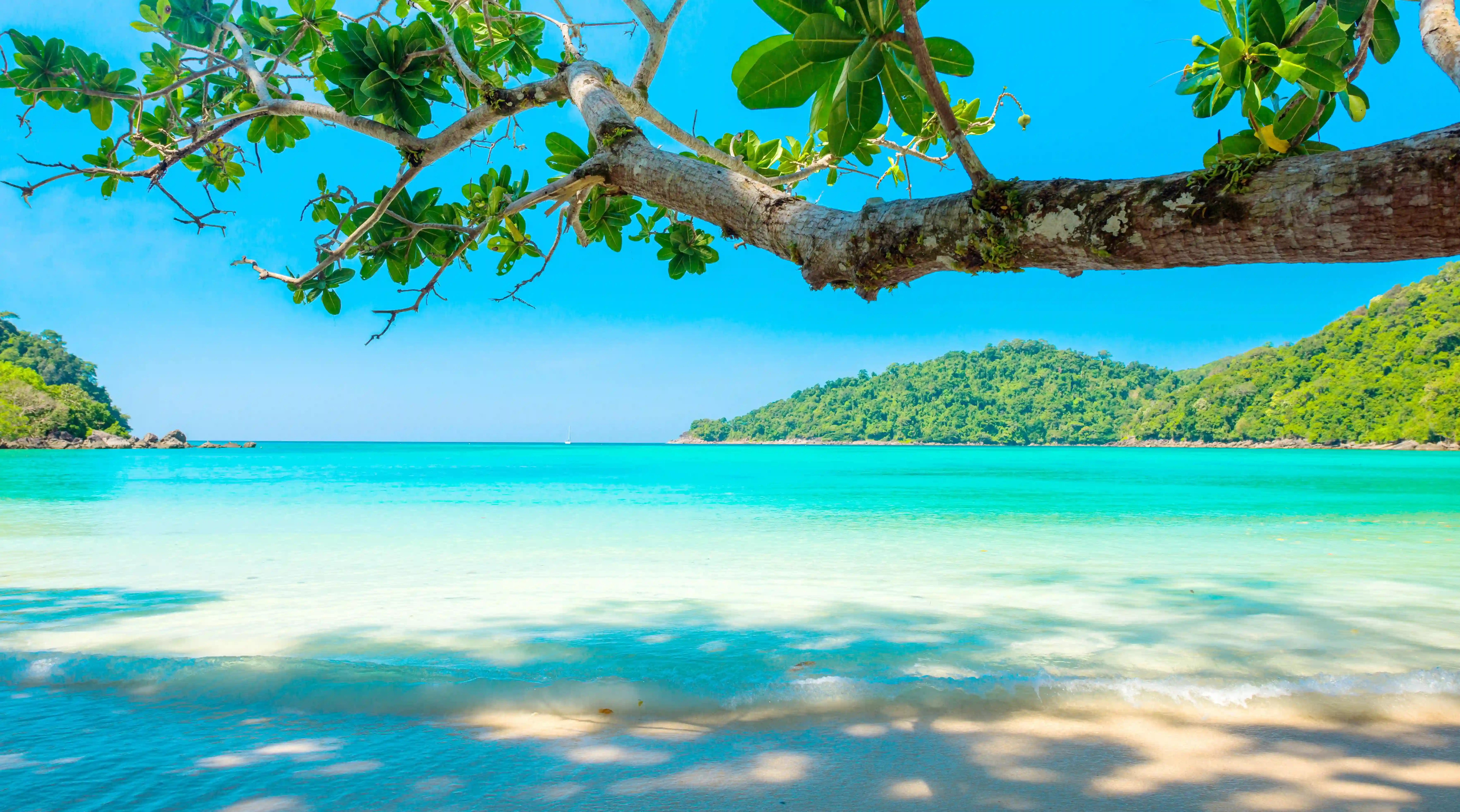 吵架後如何修復感情？三種時間處理法助你重拾愛情的火花