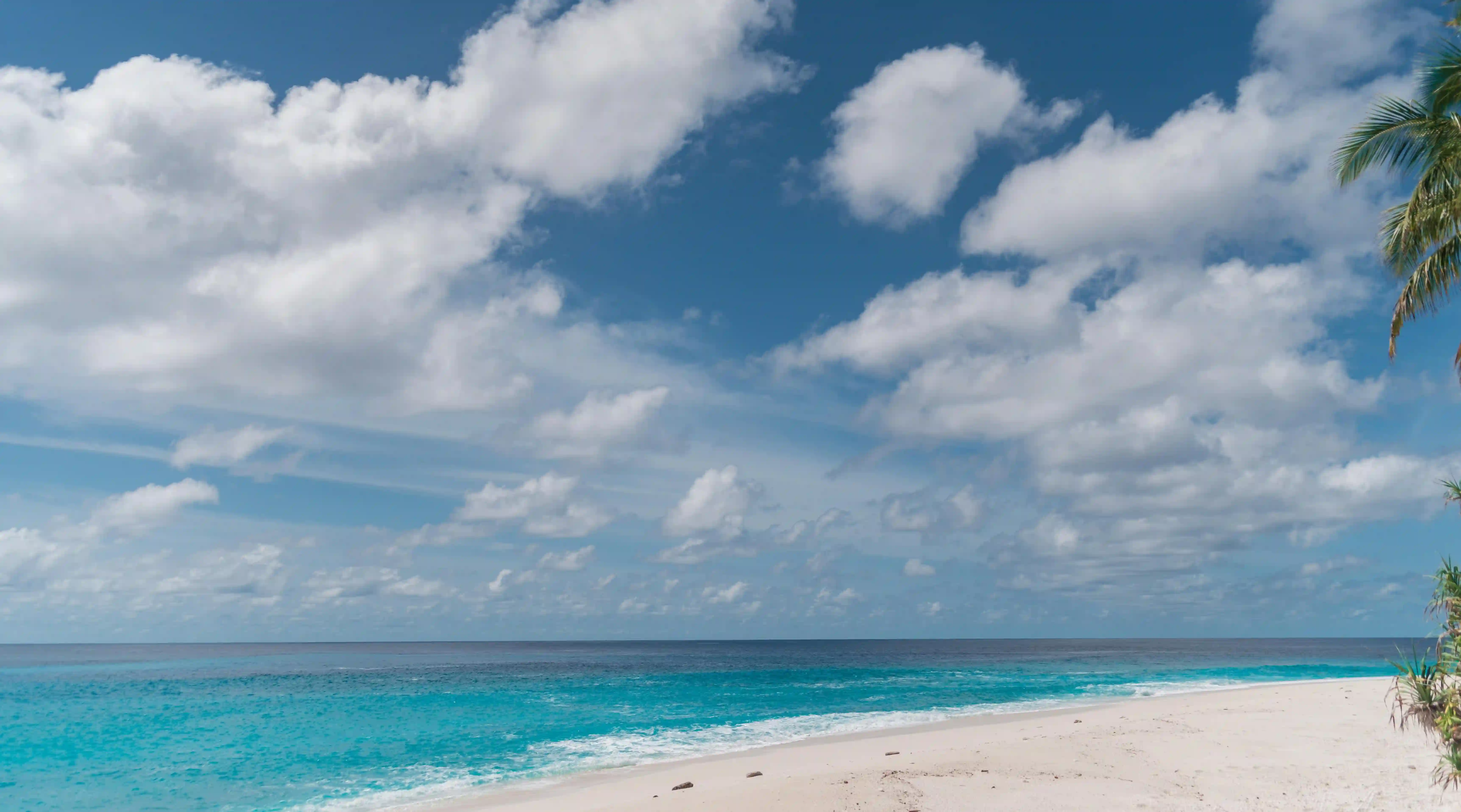 揭開愛情的神秘面紗：十個你不知道的情感真相
