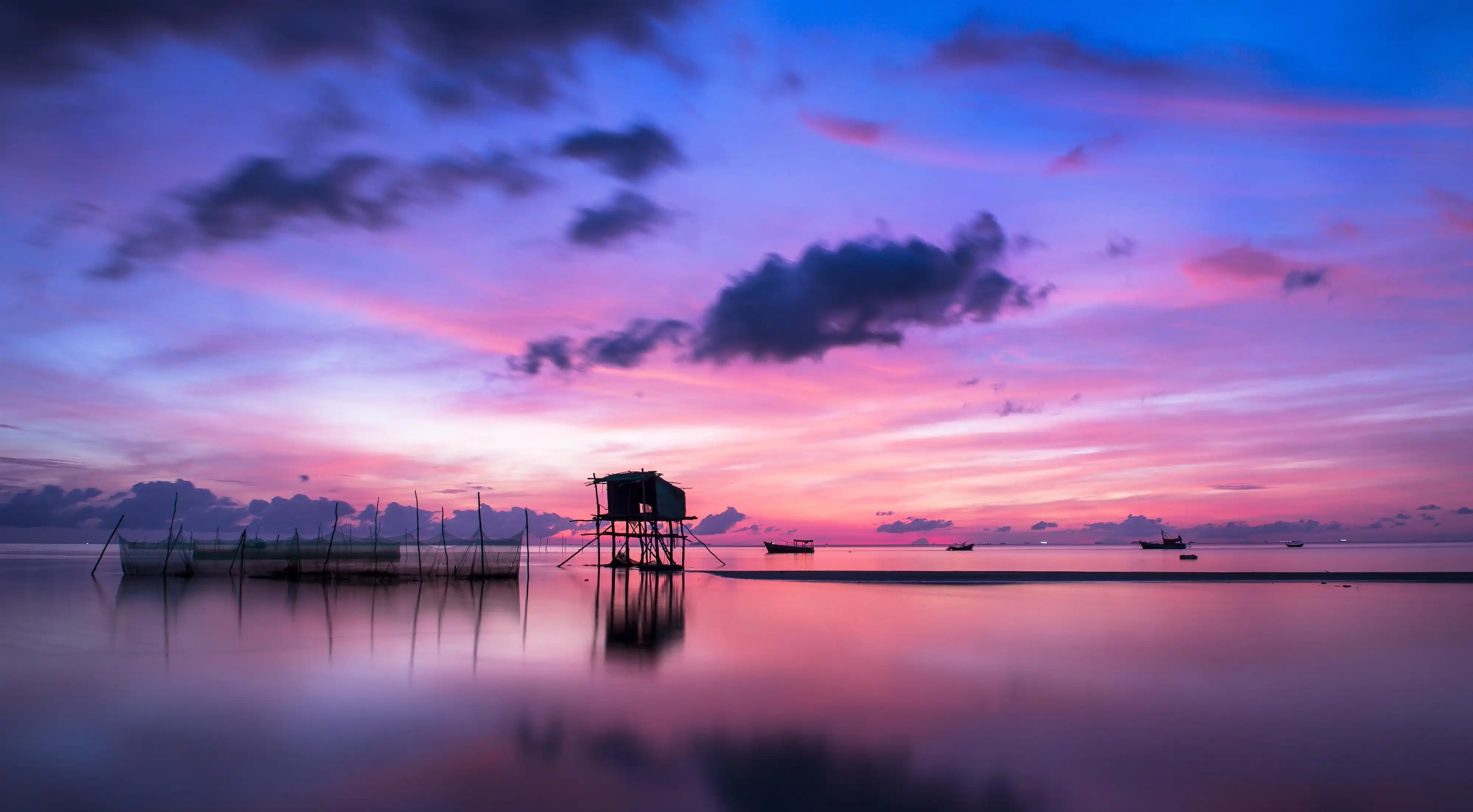 驚人的生育魅力：為什麼女性的腰臀、下頜和足部特徵能影響愛情與婚姻