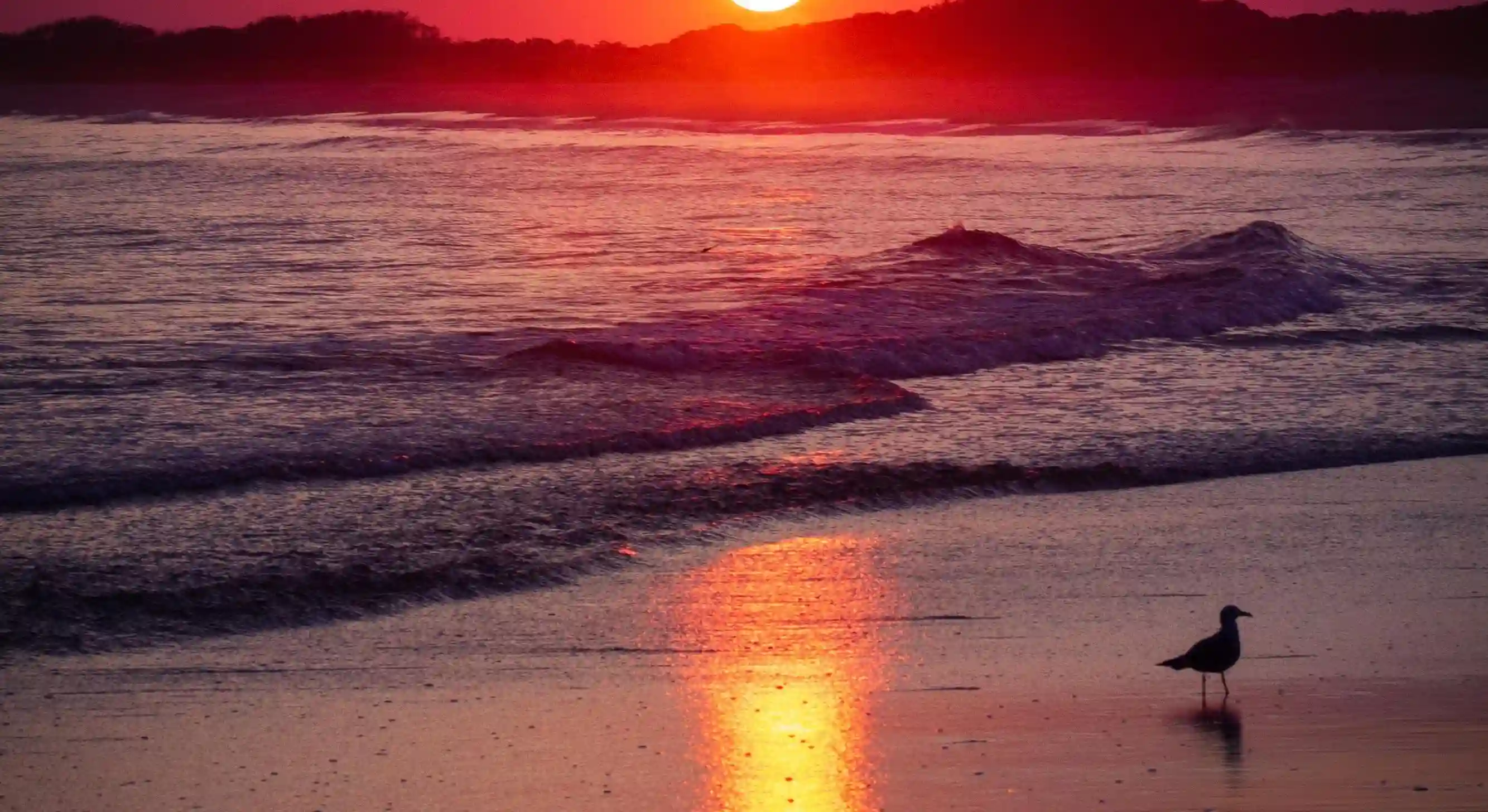 巨蟹座男生真的渣嗎？七大特徵揭示他們的愛情真相