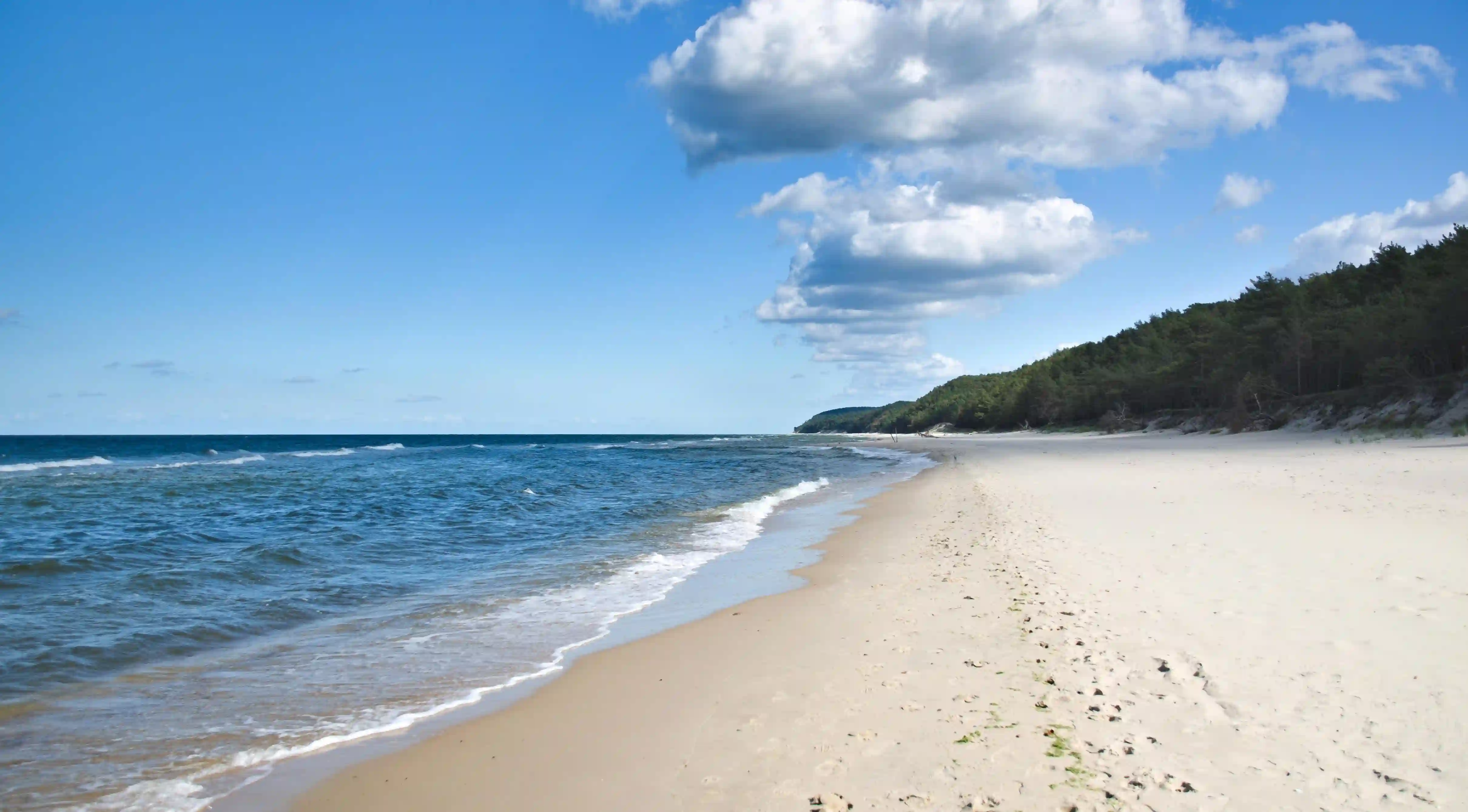 揭開悶騷男的戀愛面紗：五大轉變讓你意想不到！