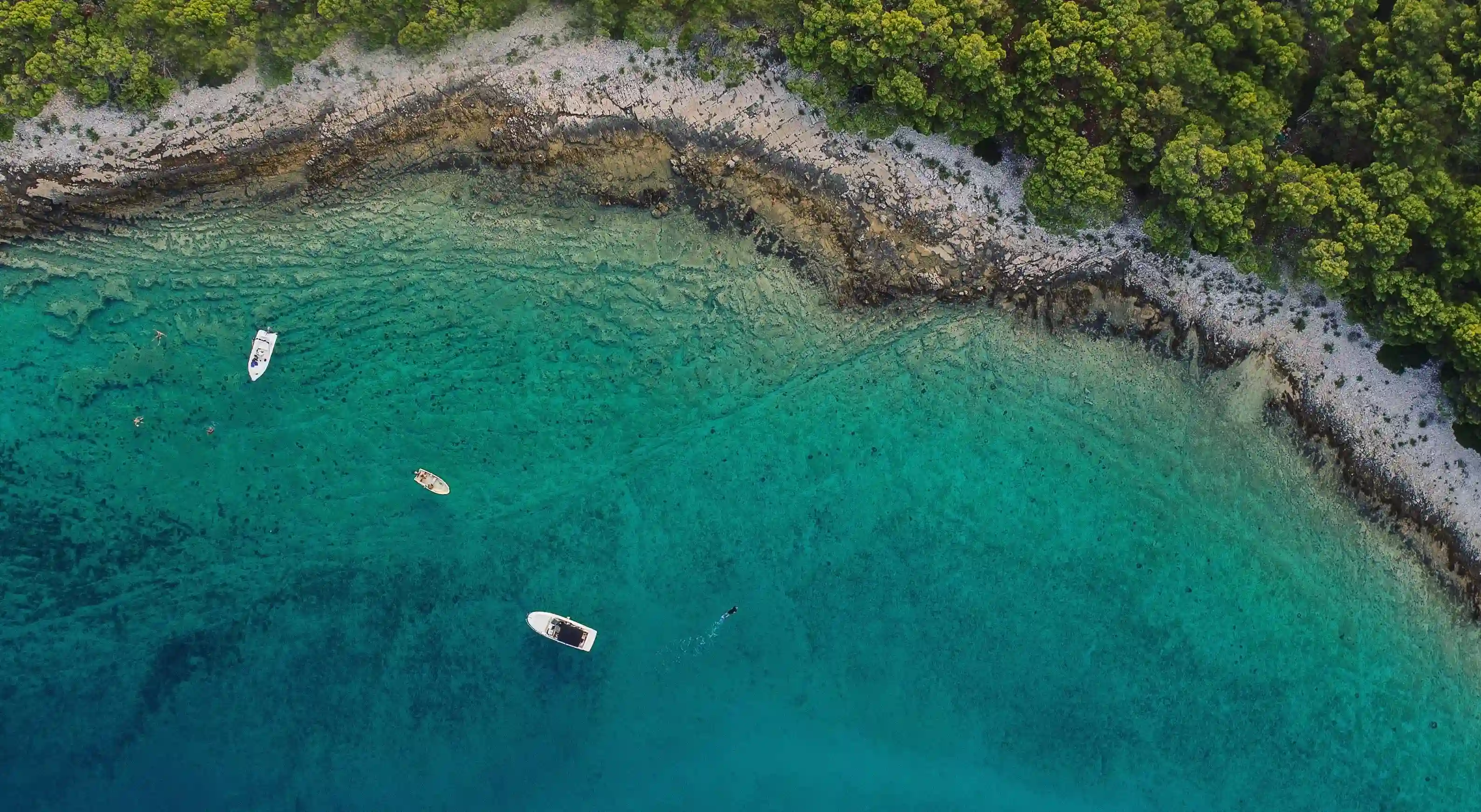 男人眼中的魅力：揭示女性最吸引的十個特徵