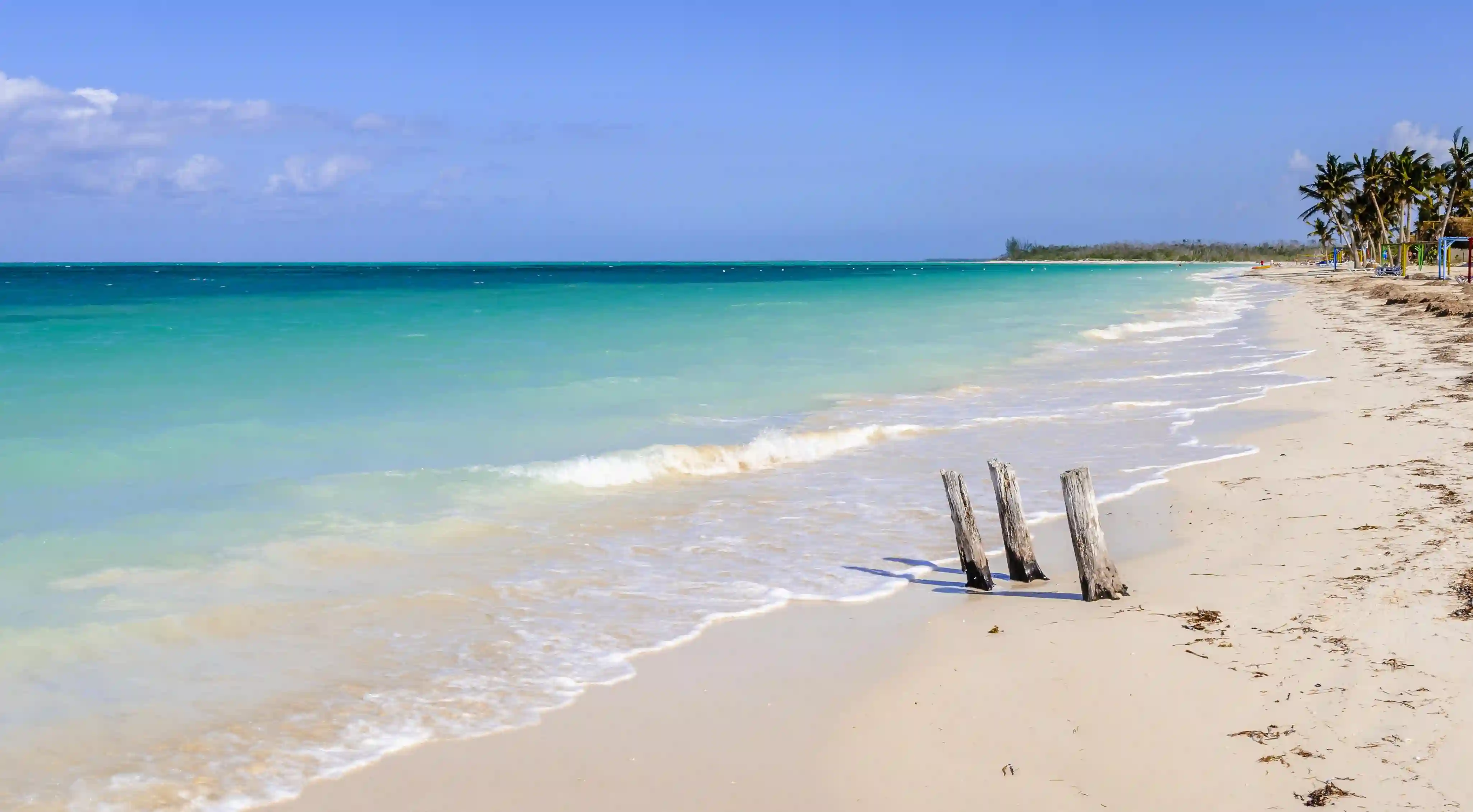 揭開魅力的秘密：五個讓你瞬間吸引對方的特質