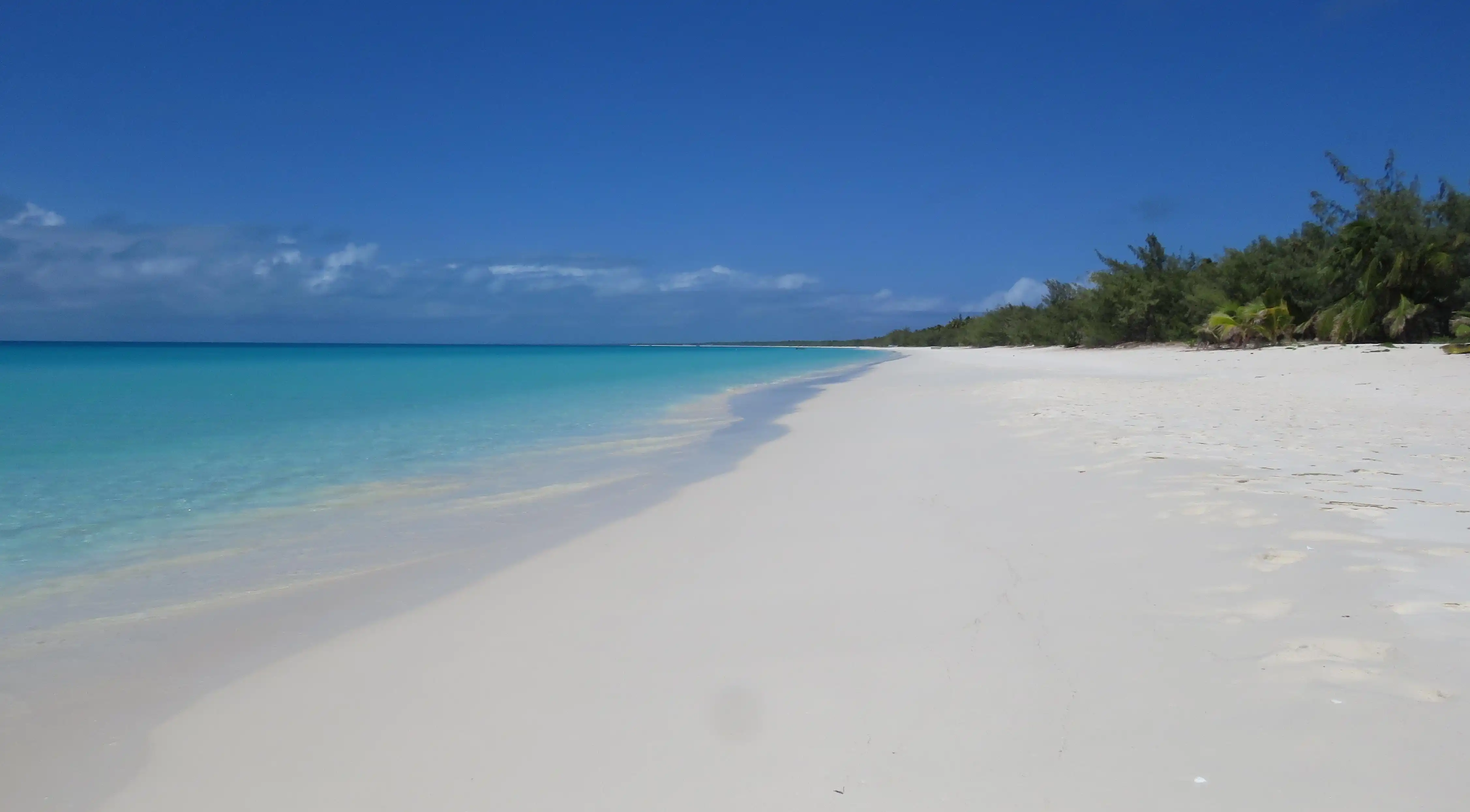 情商與魅力：揭示高情商男人的6大吸引特質