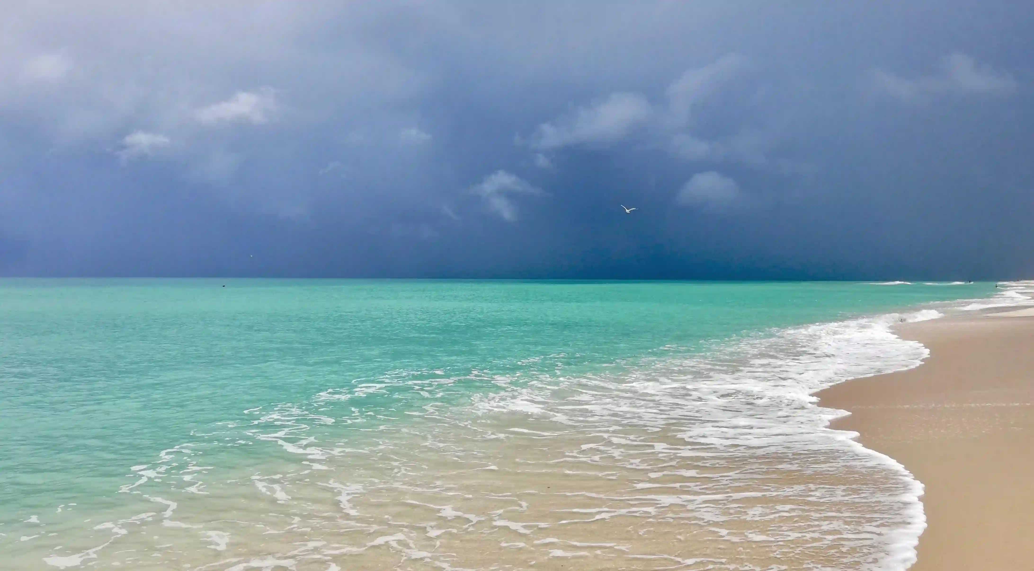 天秤座分手後會回頭嗎？揭秘他們心中的矛盾與掙扎