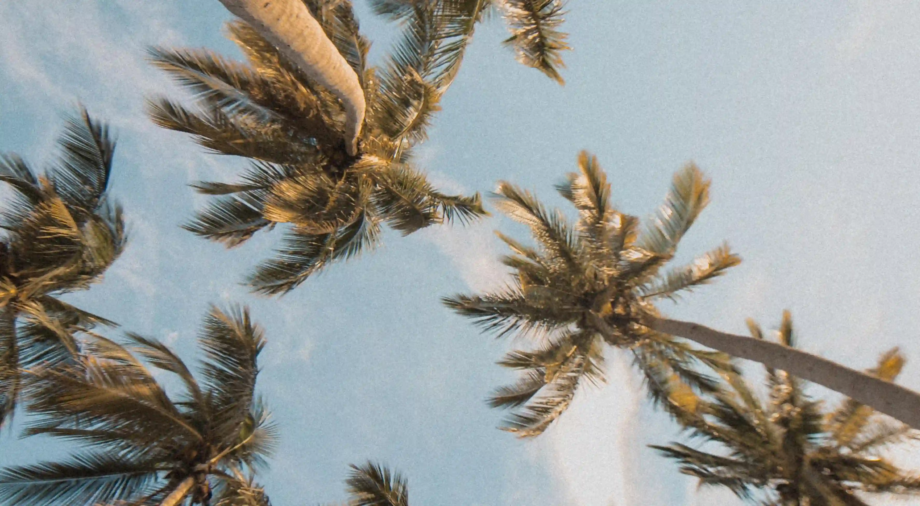 你知道嗎？在戀愛中這五個壞習慣能揭示你的男友真實個性！