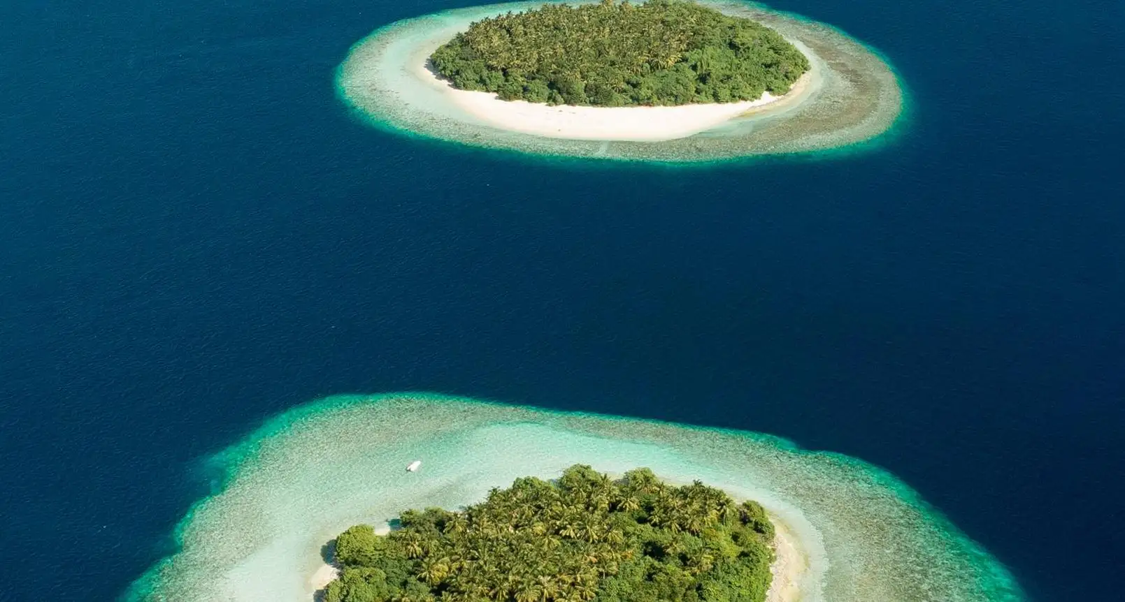 掌握對話藝術：如何優雅地回應女生的“略略略”?