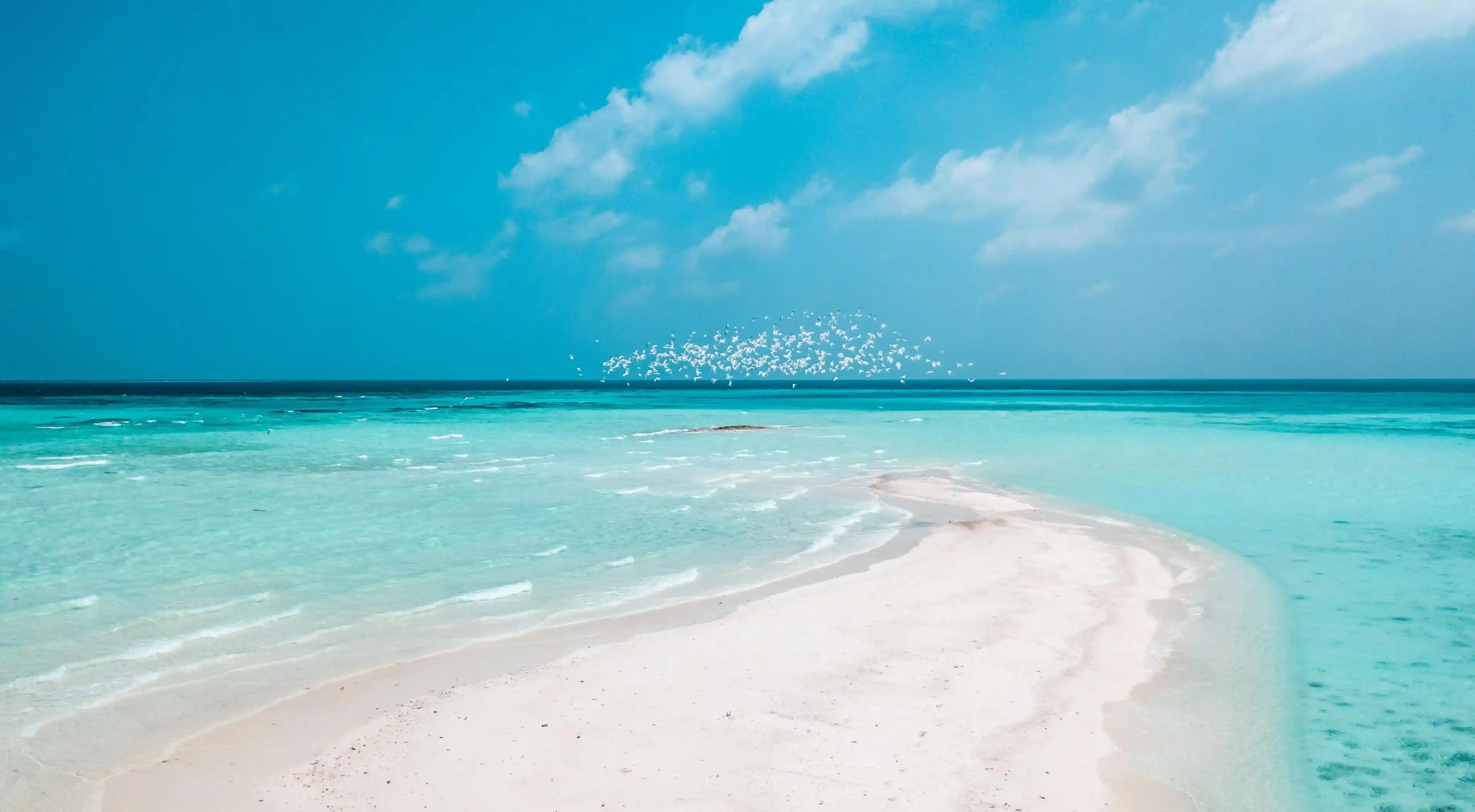 揭露愛情世界的九大迷思，你真的了解真相嗎？