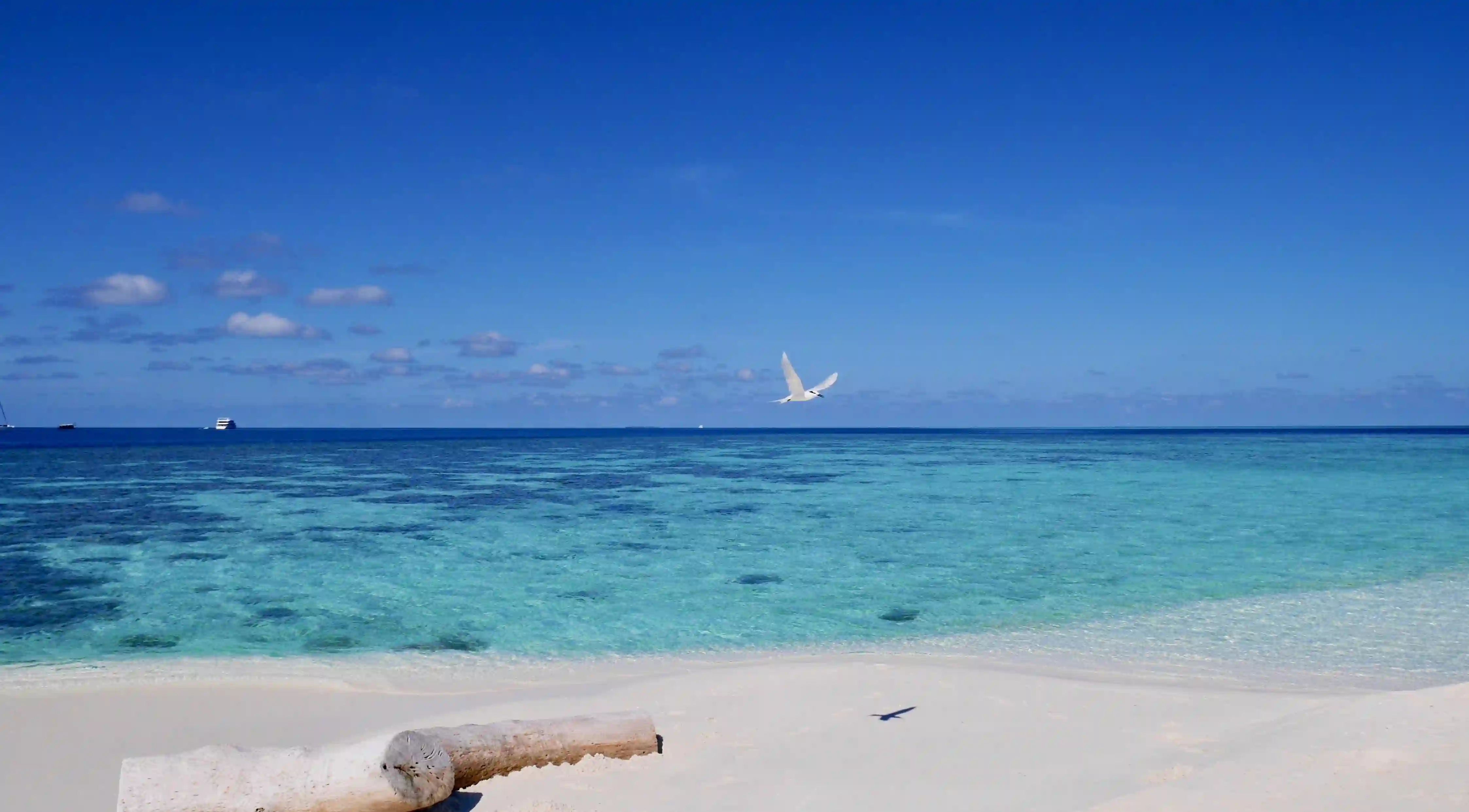 愛情出現危機？揭開失聯後男女心靈的秘密