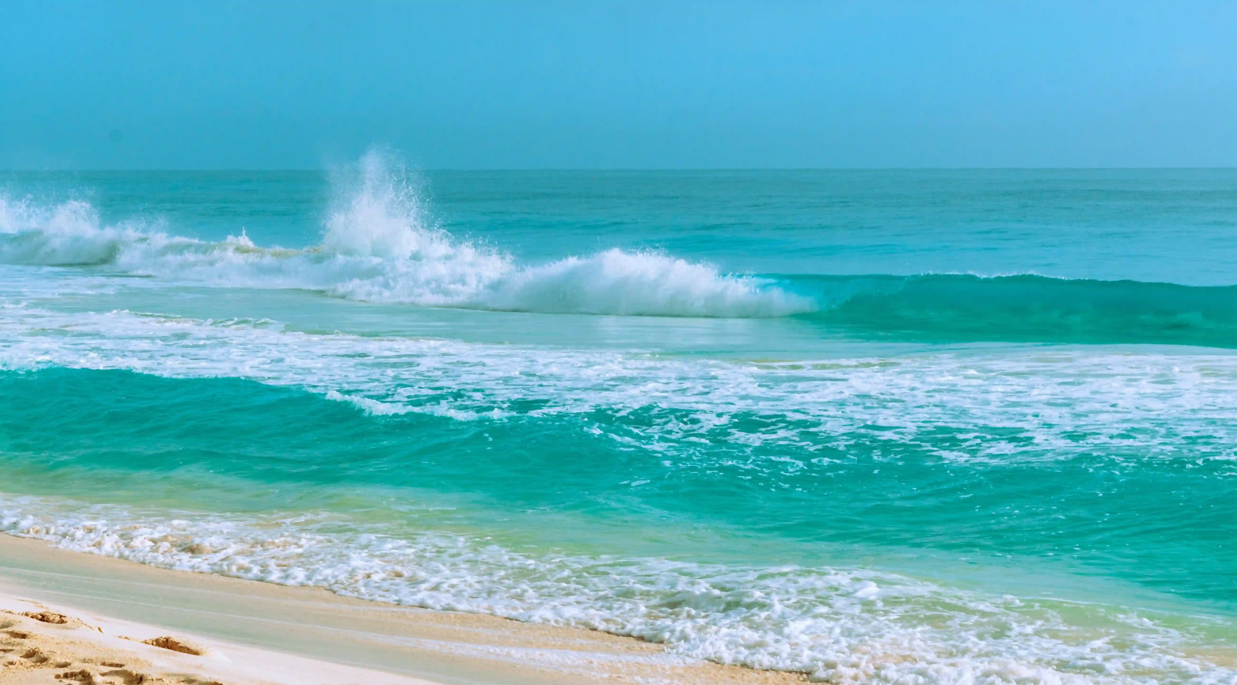 兔子白羊座與豬摩羯座：他們的愛情命運究竟如何？