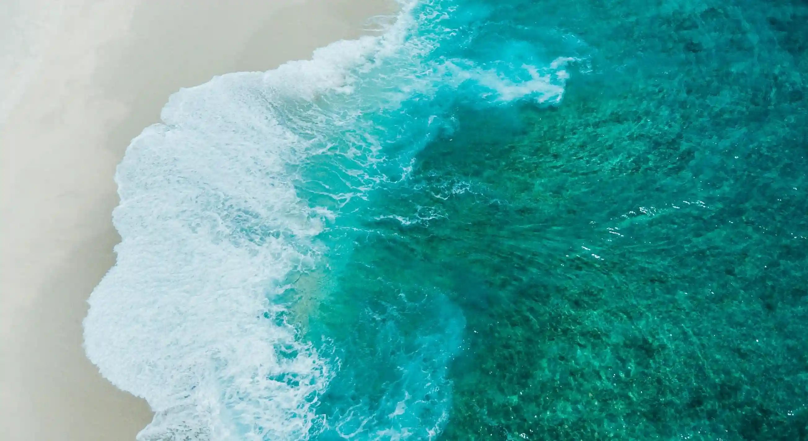 揭開愛情公式之謎：如何計算你的戀愛成功率？