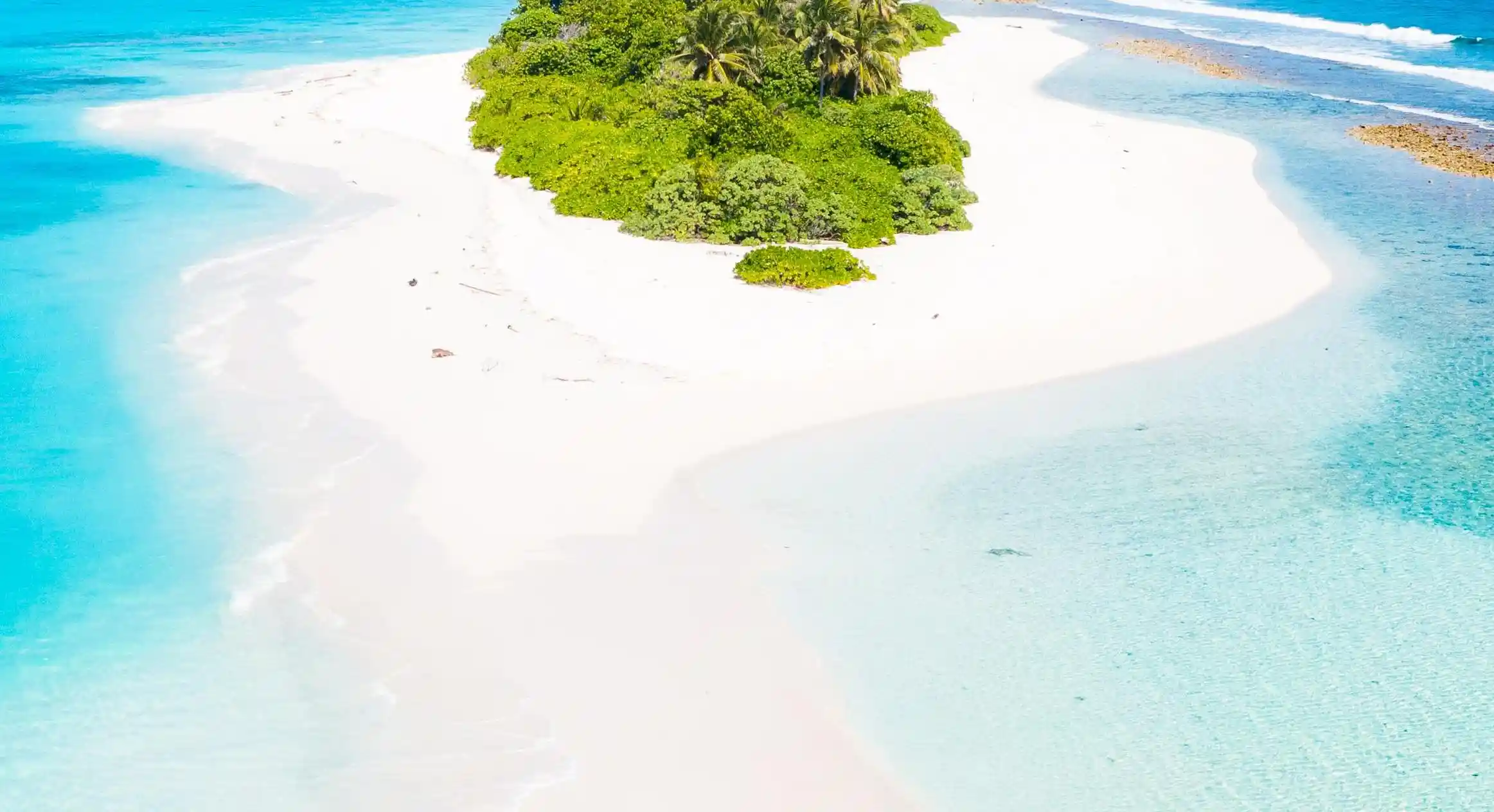 如何撩動直男？揭開五個你未曾聽聞的戀愛技巧！