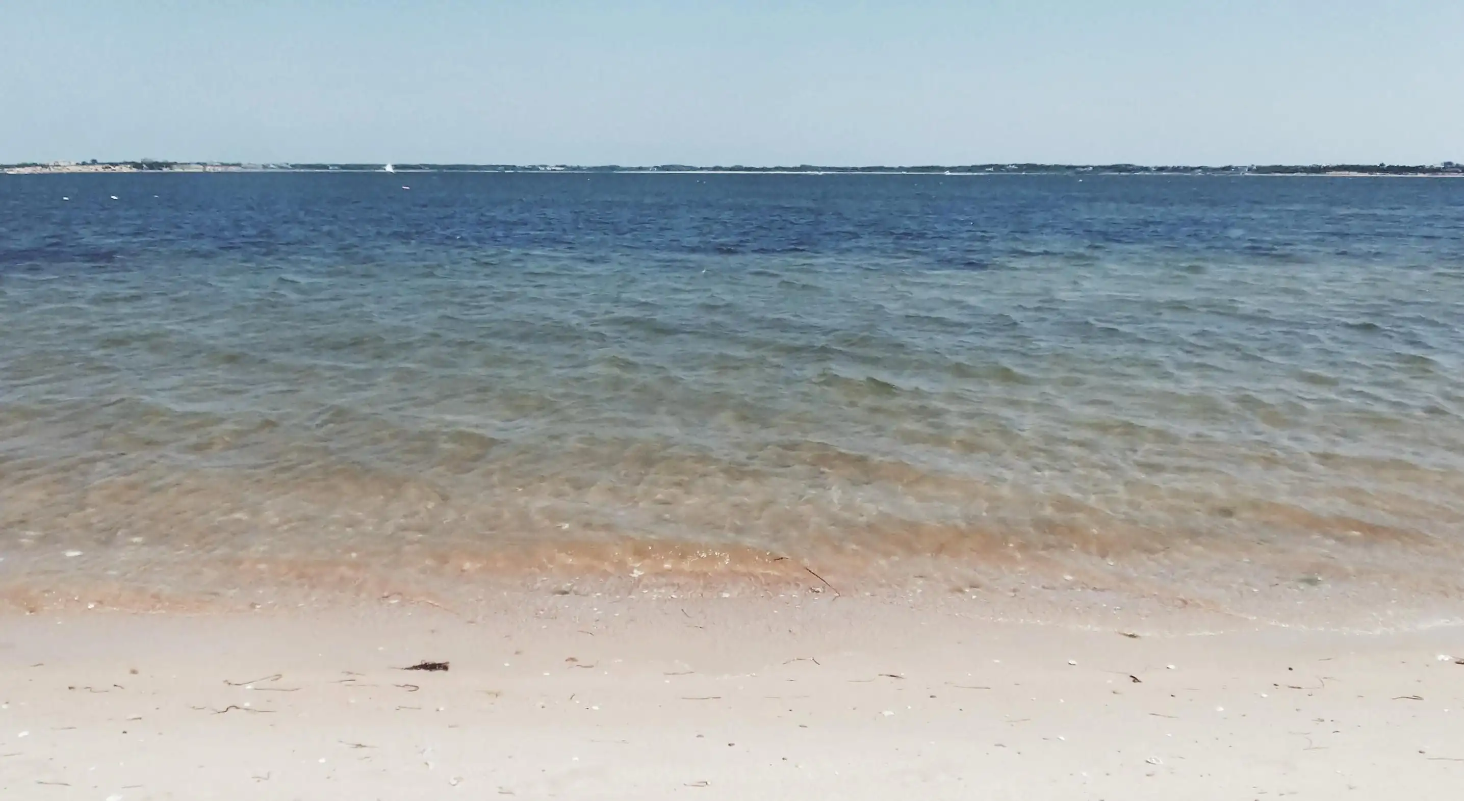 你的閨蜜是否會搶走你的男友？揭示五種容易吸引男性的閨蜜類型