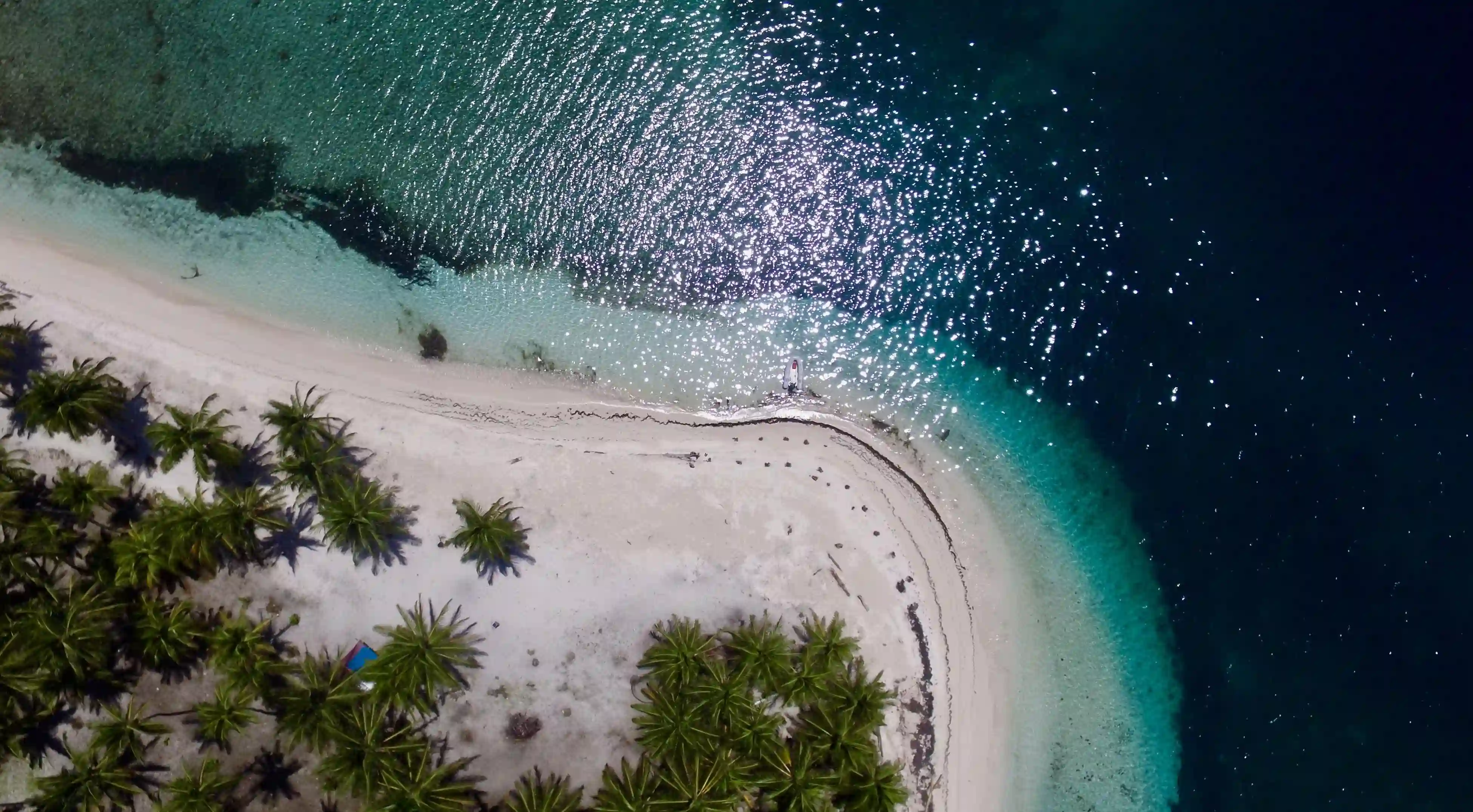 辦公室戀情：你未曾想到的五大真相與策略