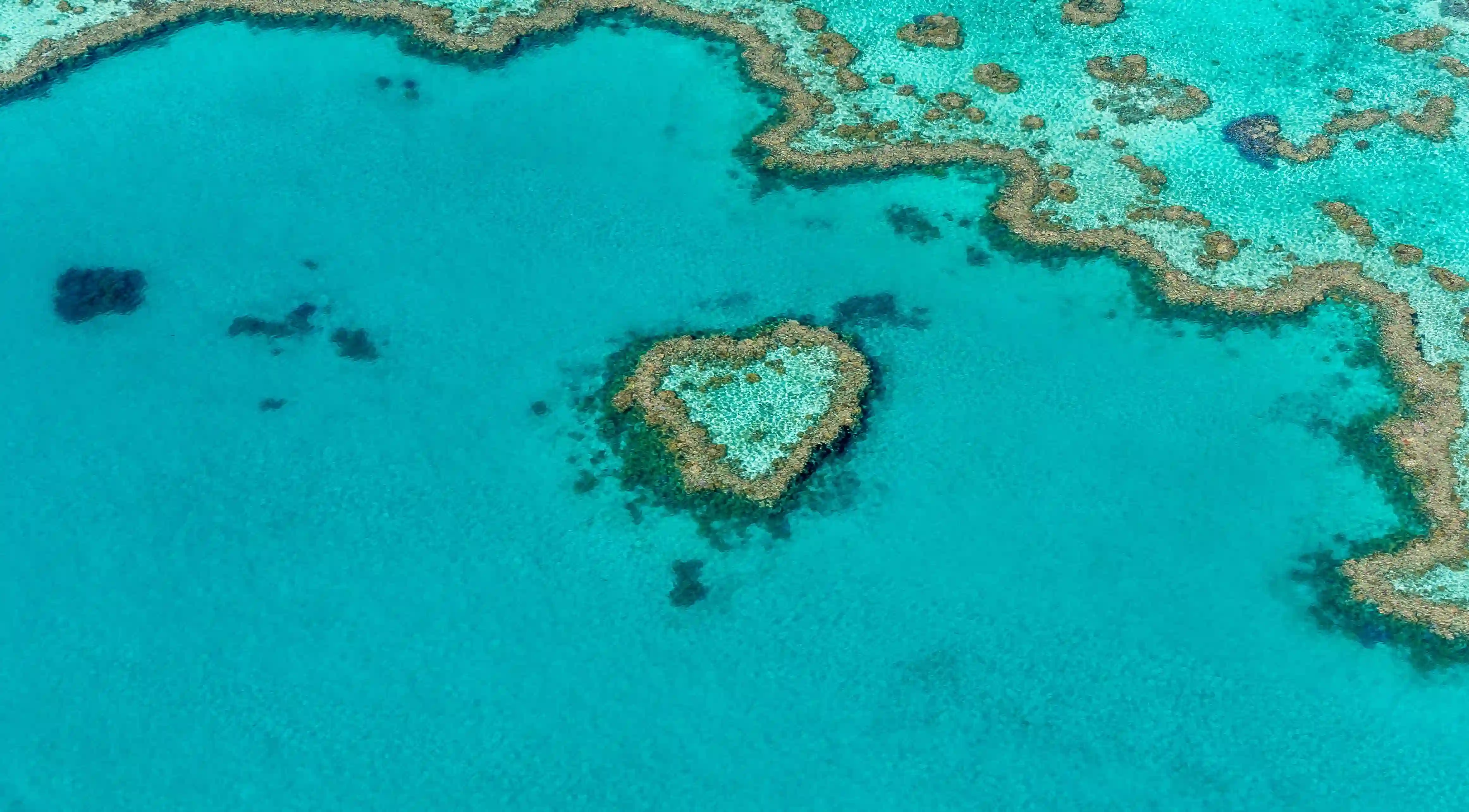 摩羯座愛情的真相：他們分手後是否會回頭？