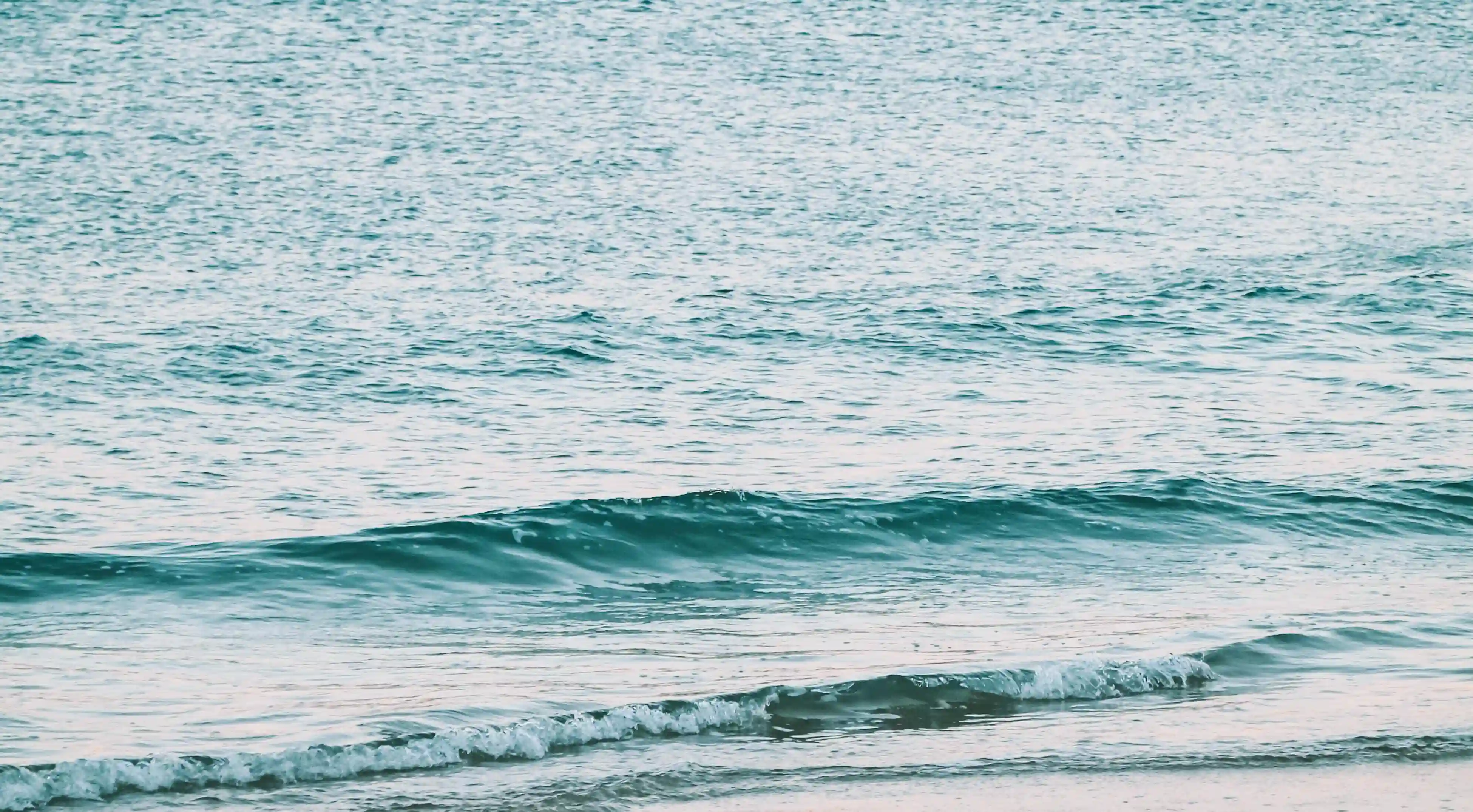 如何吸引小狼狗男生？揭開這五個秘密，讓他對你情有獨鍾！