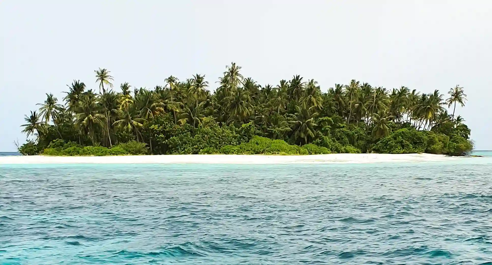 從失敗到重生：如何在愛情中找到真正的幸福？