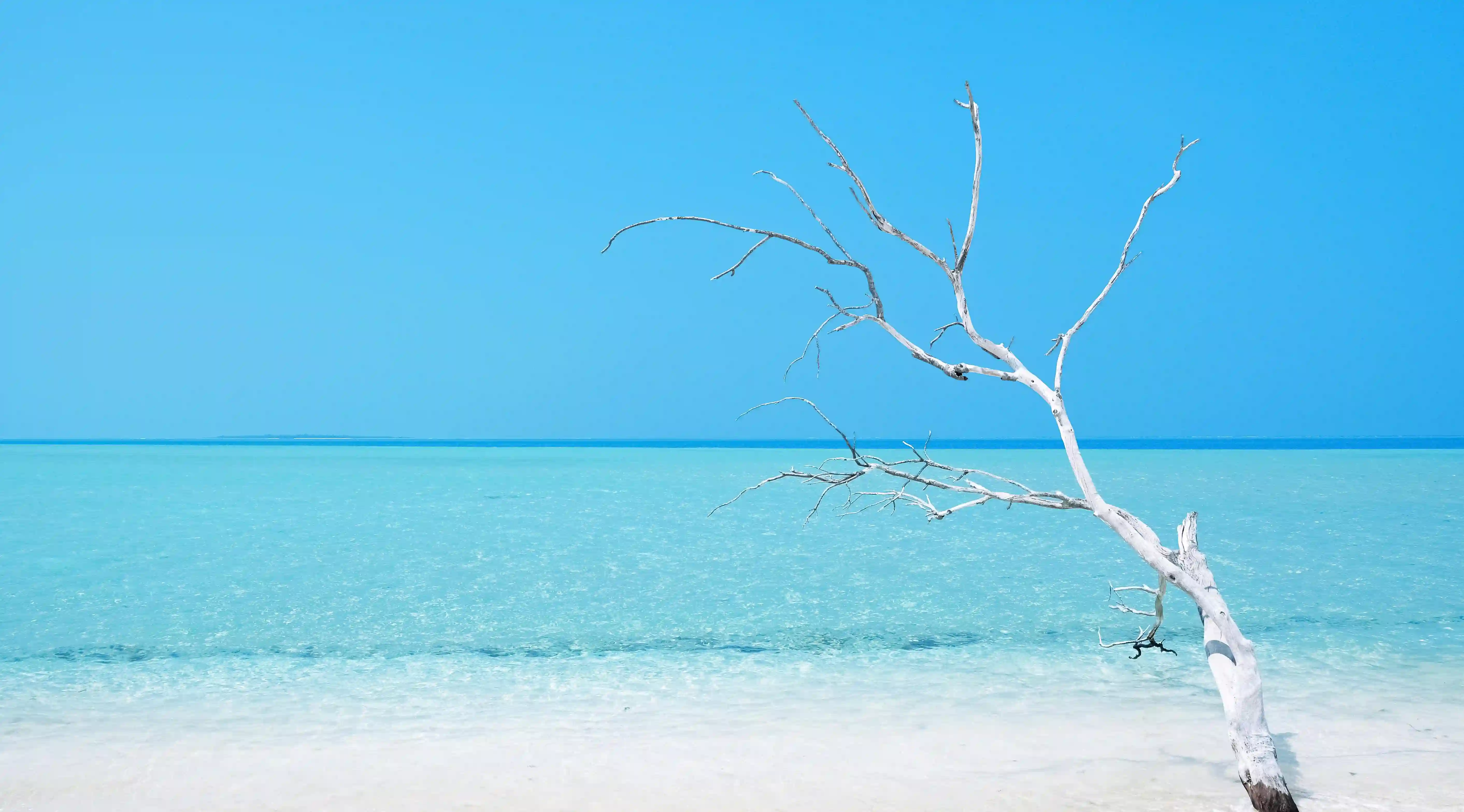 為何愛情的保鮮期只有兩年？揭開熱戀後的真相！