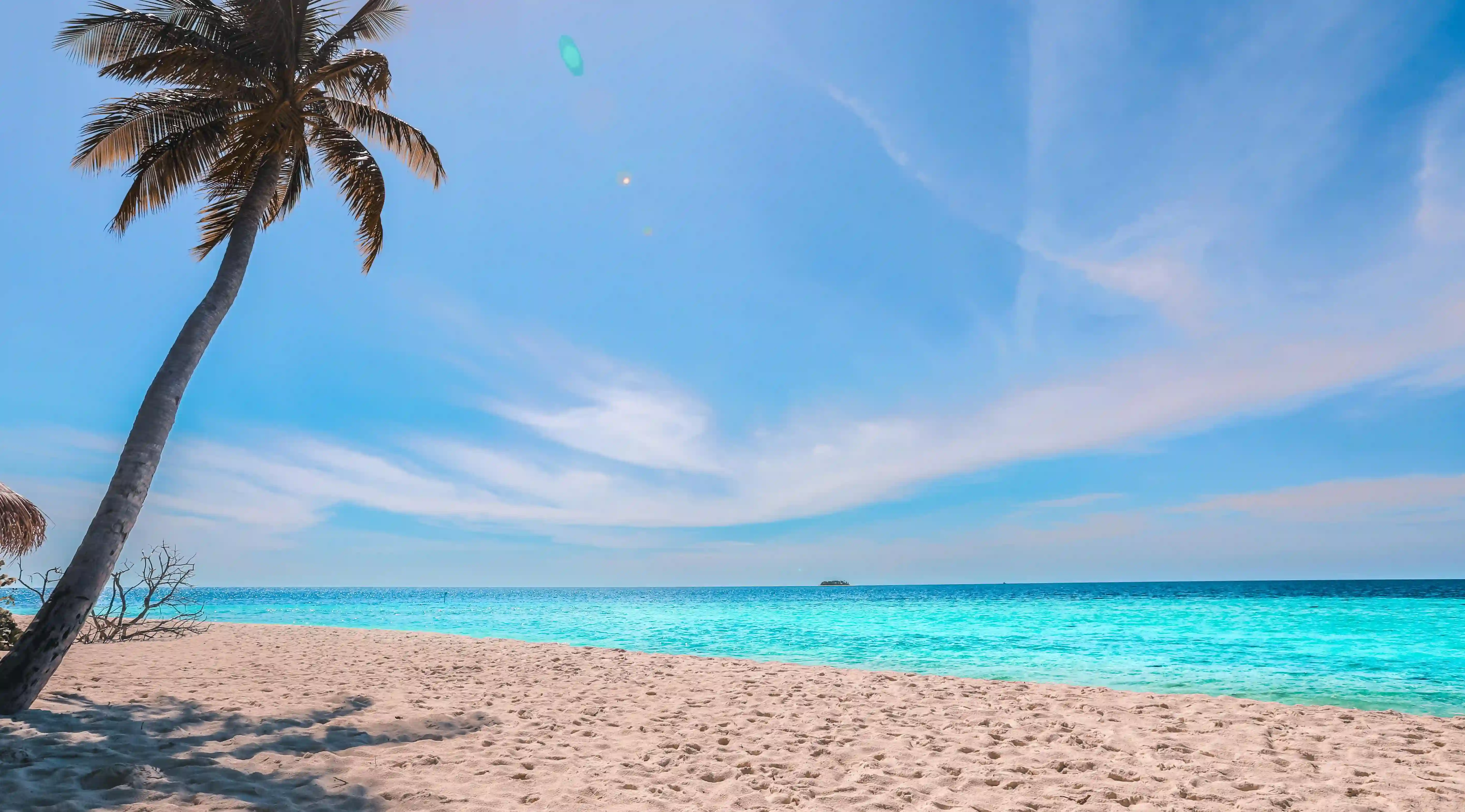 五個真相揭示：長輩介紹的對象，真的值得信賴嗎？