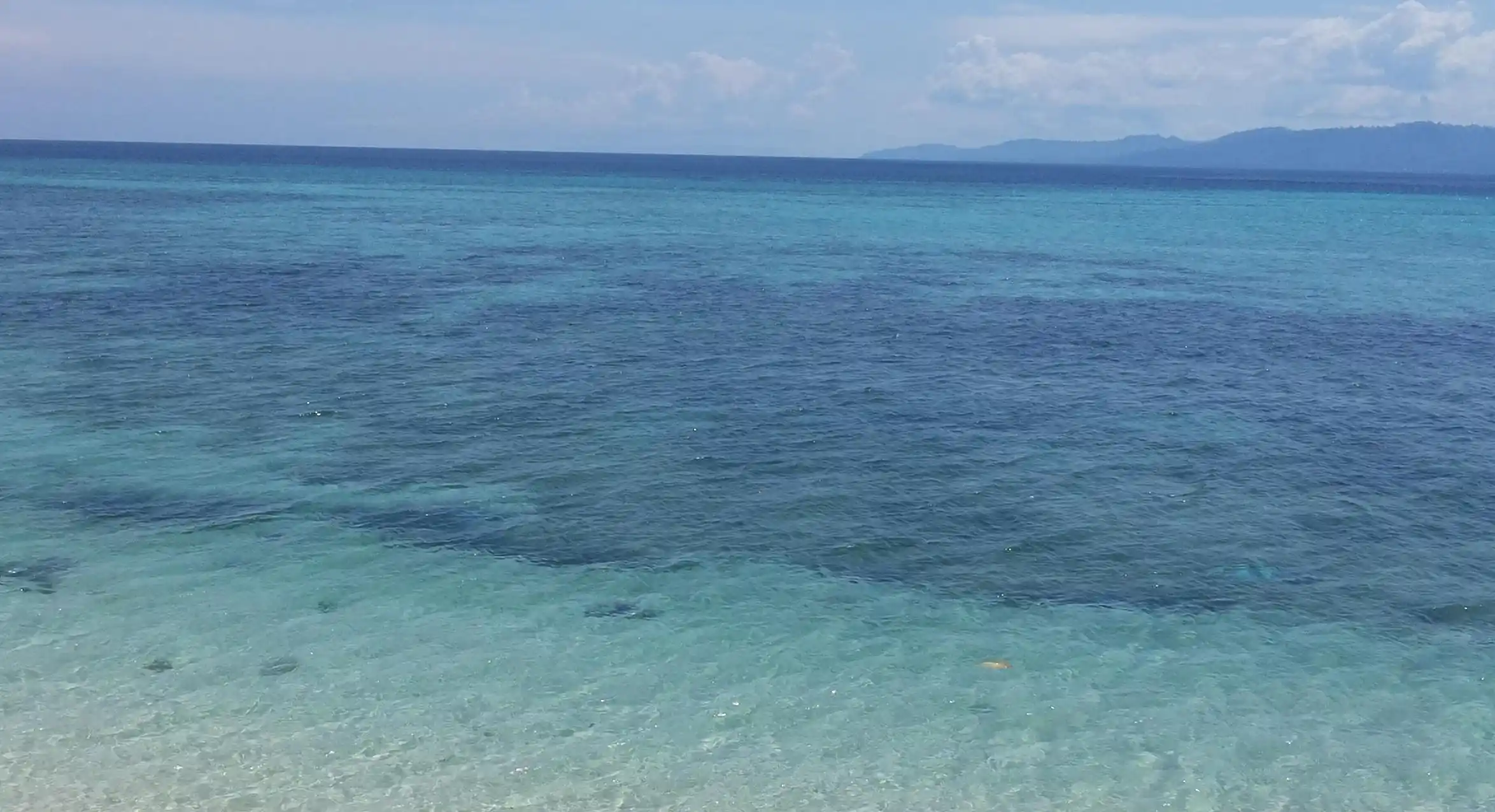 揭秘！如何用五個有效技巧讓你的愛情更加真誠與親密