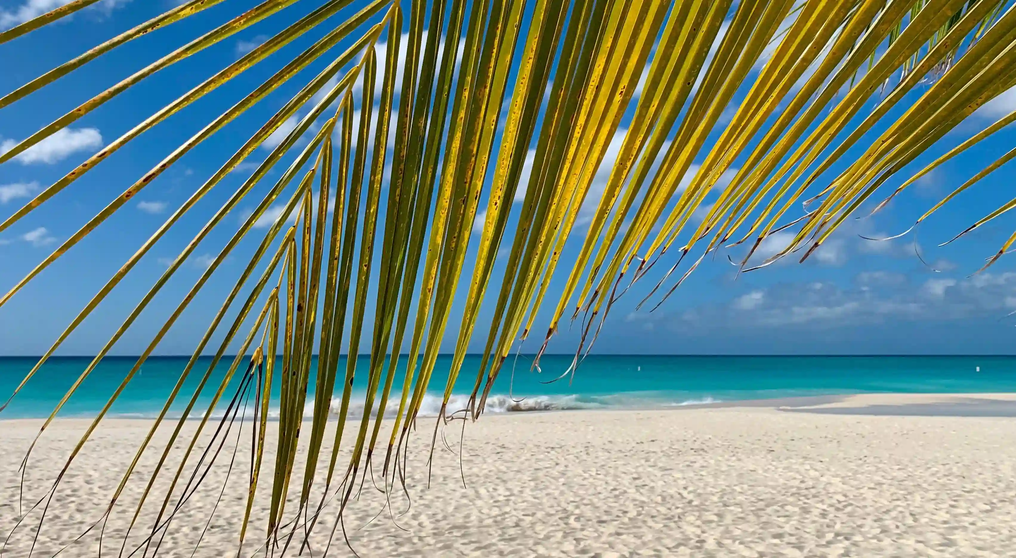 如何讓你的直男變成暖男？這五個神奇技巧你一定要知道！