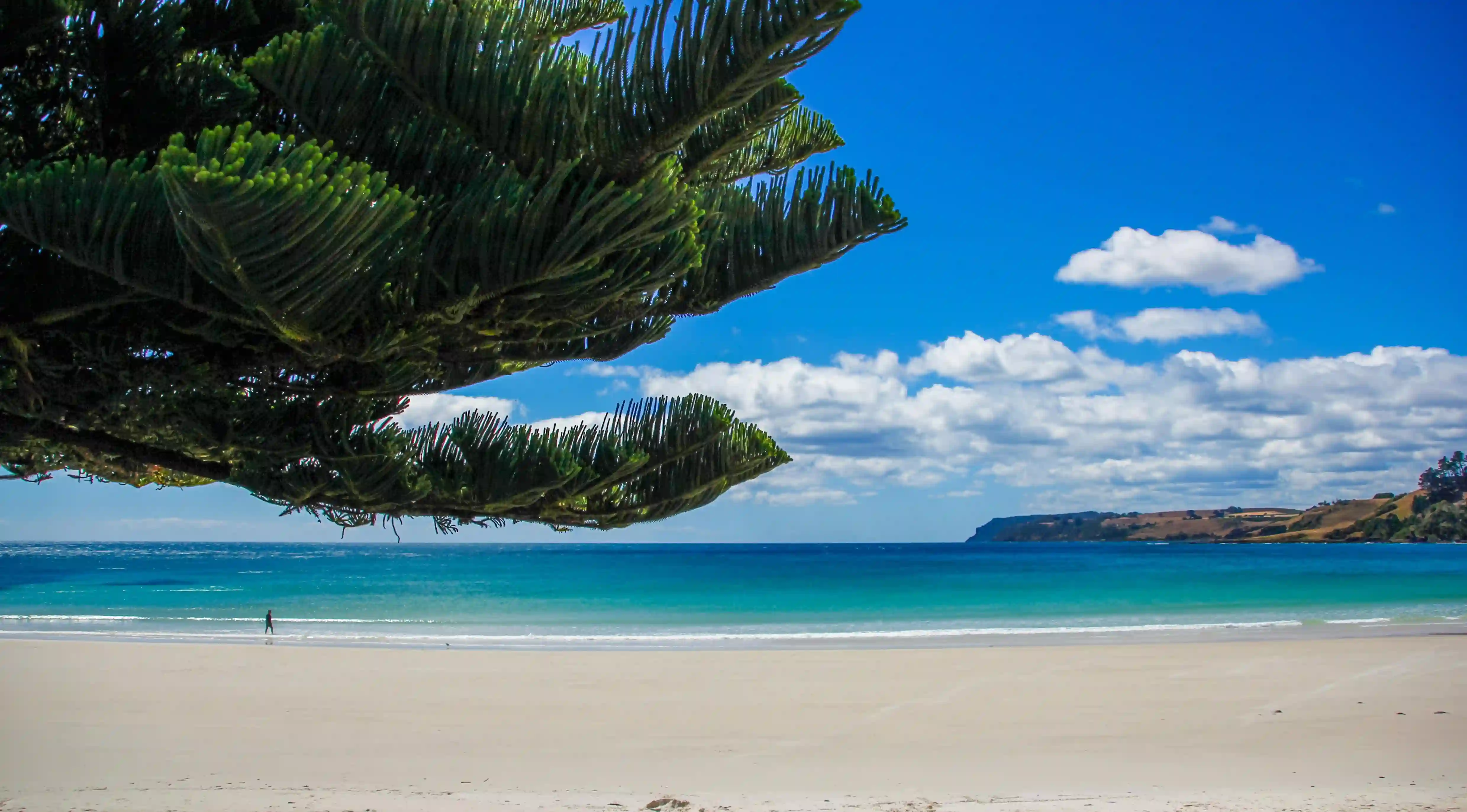 為何男生生氣反而是愛的證明？揭示情感世界中的五大真相