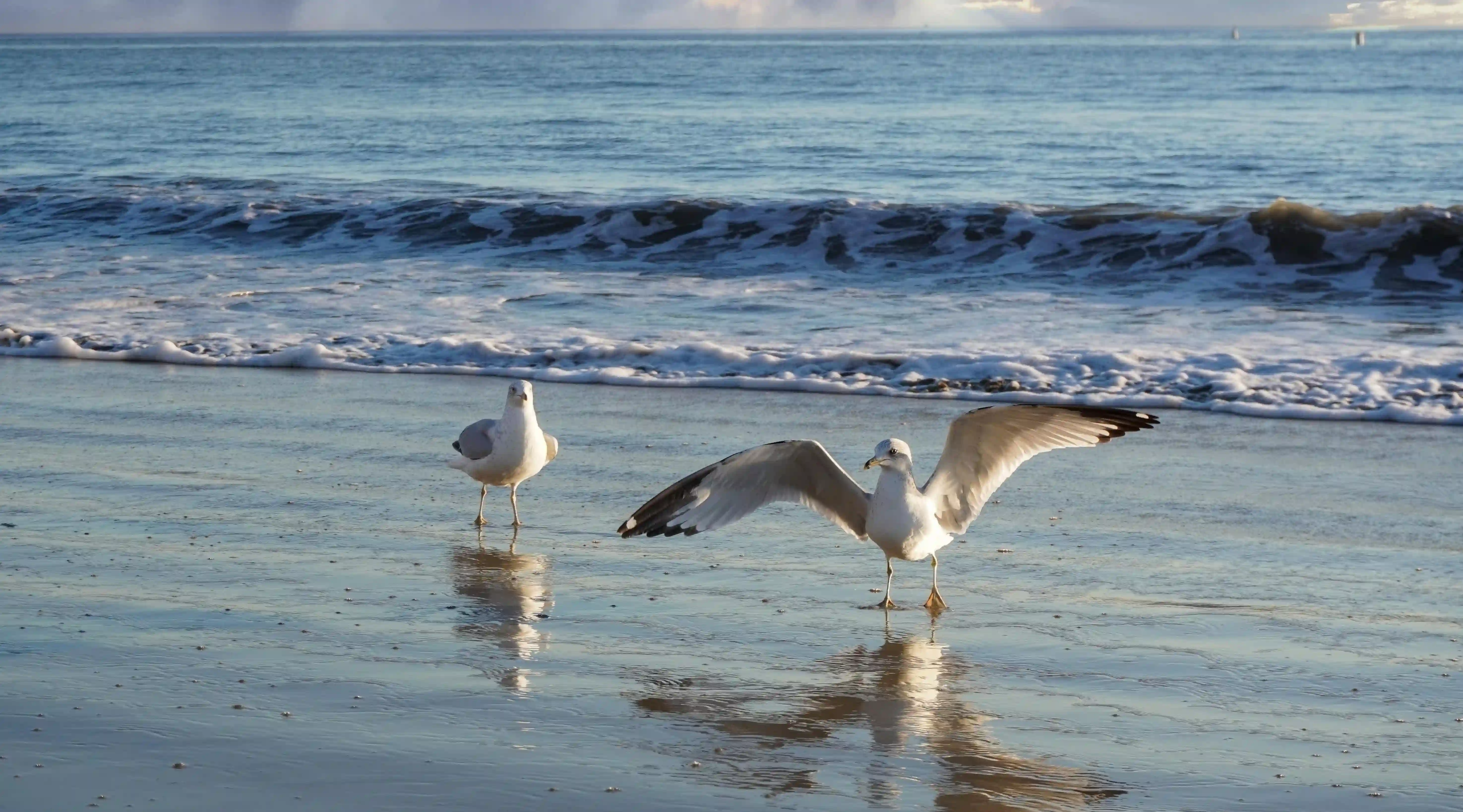 為什麼思念一個人會如此強烈？揭開愛情背後的心理學奧秘