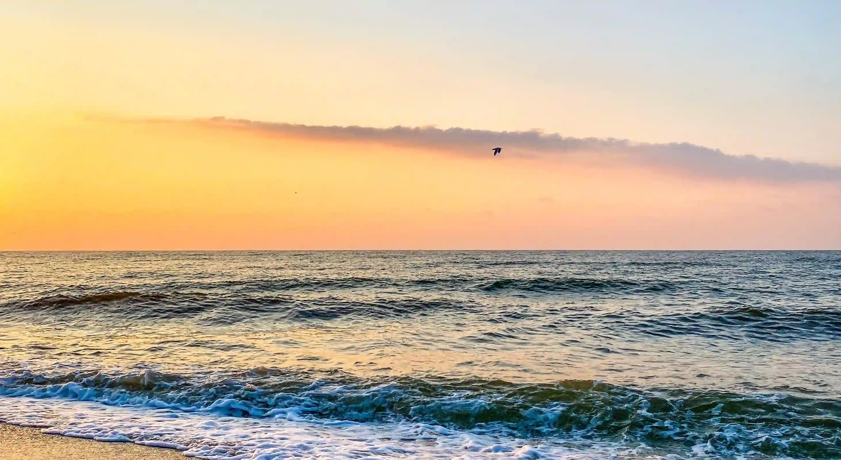 揭開愛情迷霧：淺談8大戀愛偏見與真相