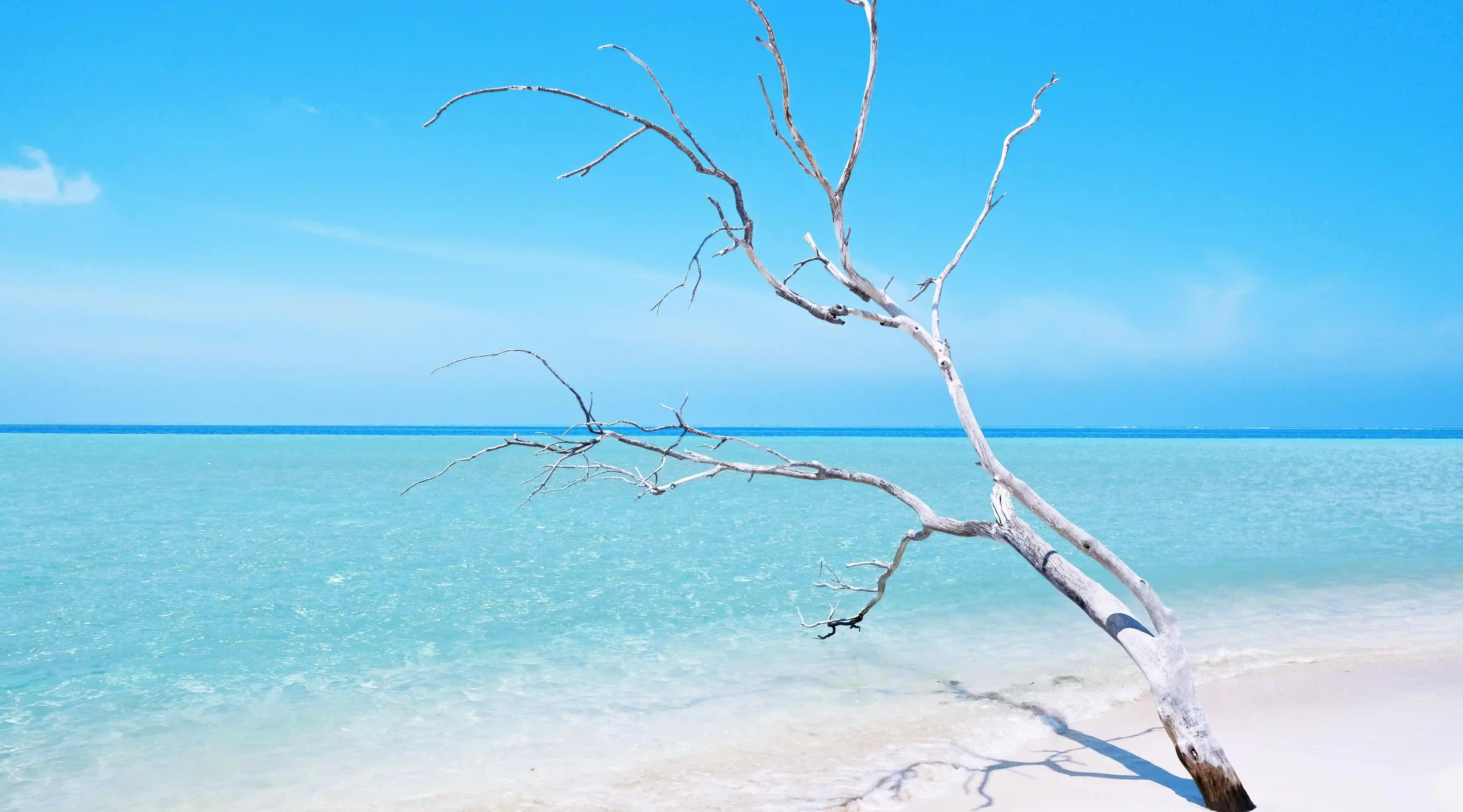 五個令人意想不到的撒嬌技巧，讓你的愛情更甜蜜