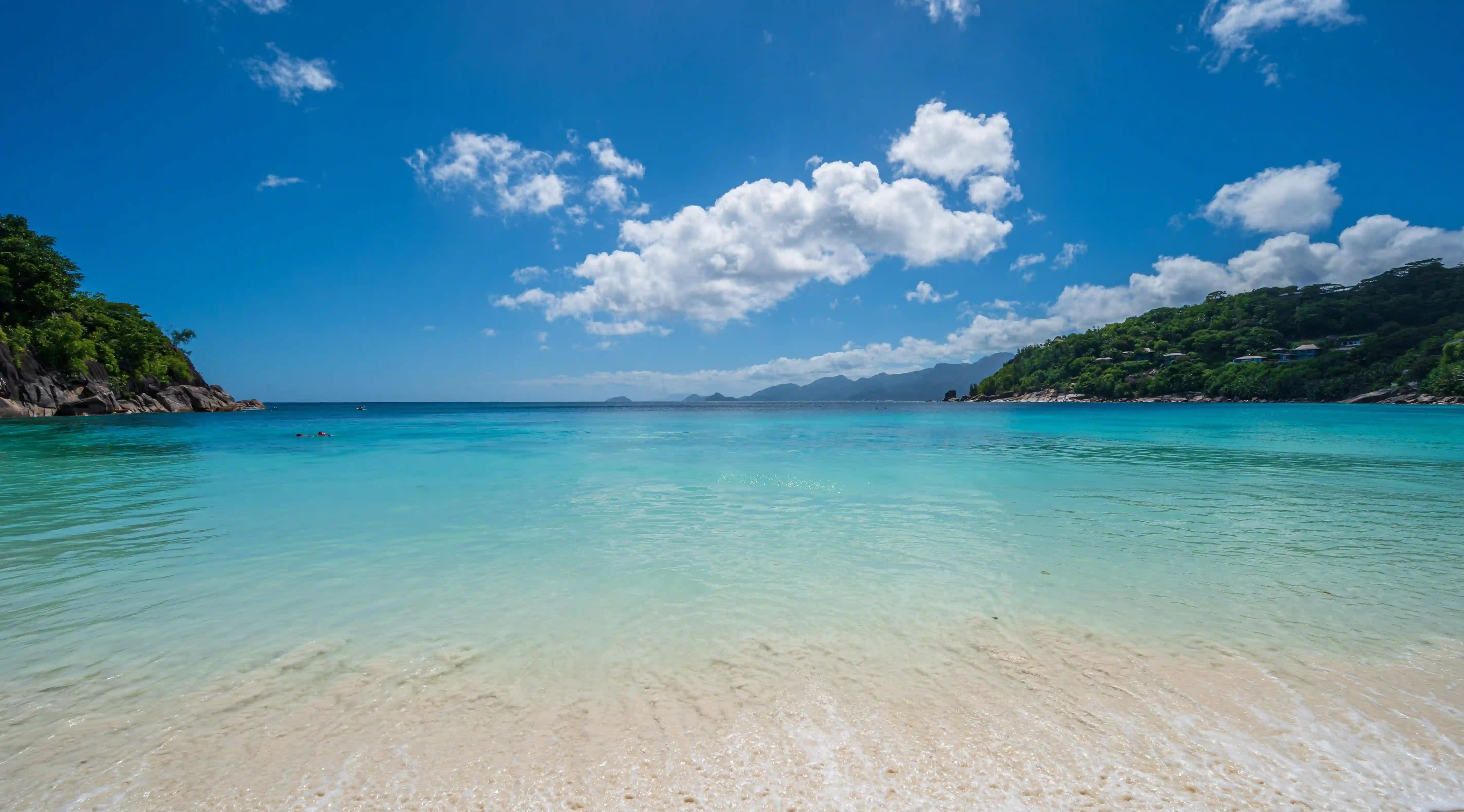 為何吃醋是愛情的調味品？揭開女性心中真相的五個關鍵