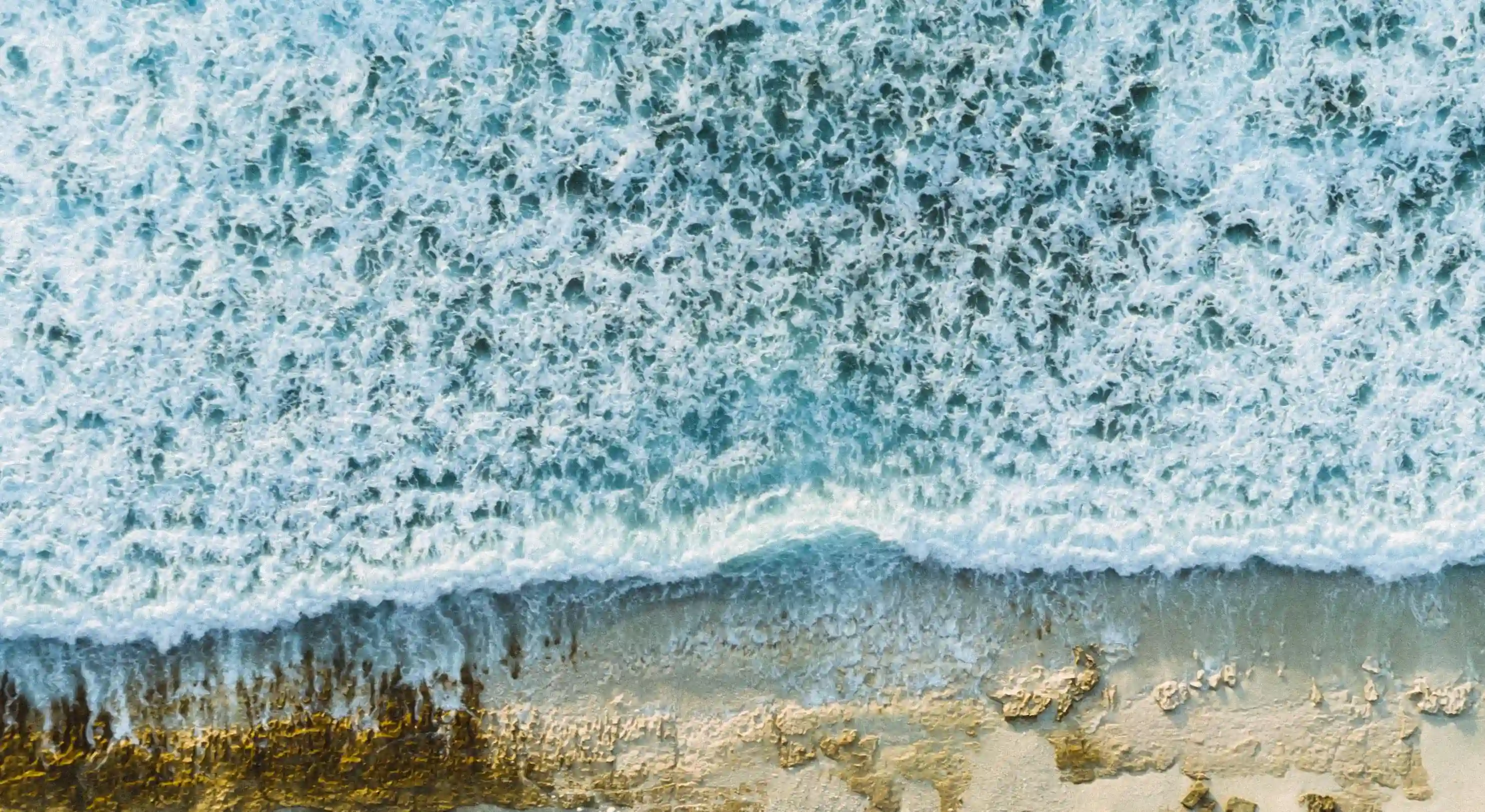 愛情的藝術：十個關鍵技巧讓你從戀愛中成長與蛻變