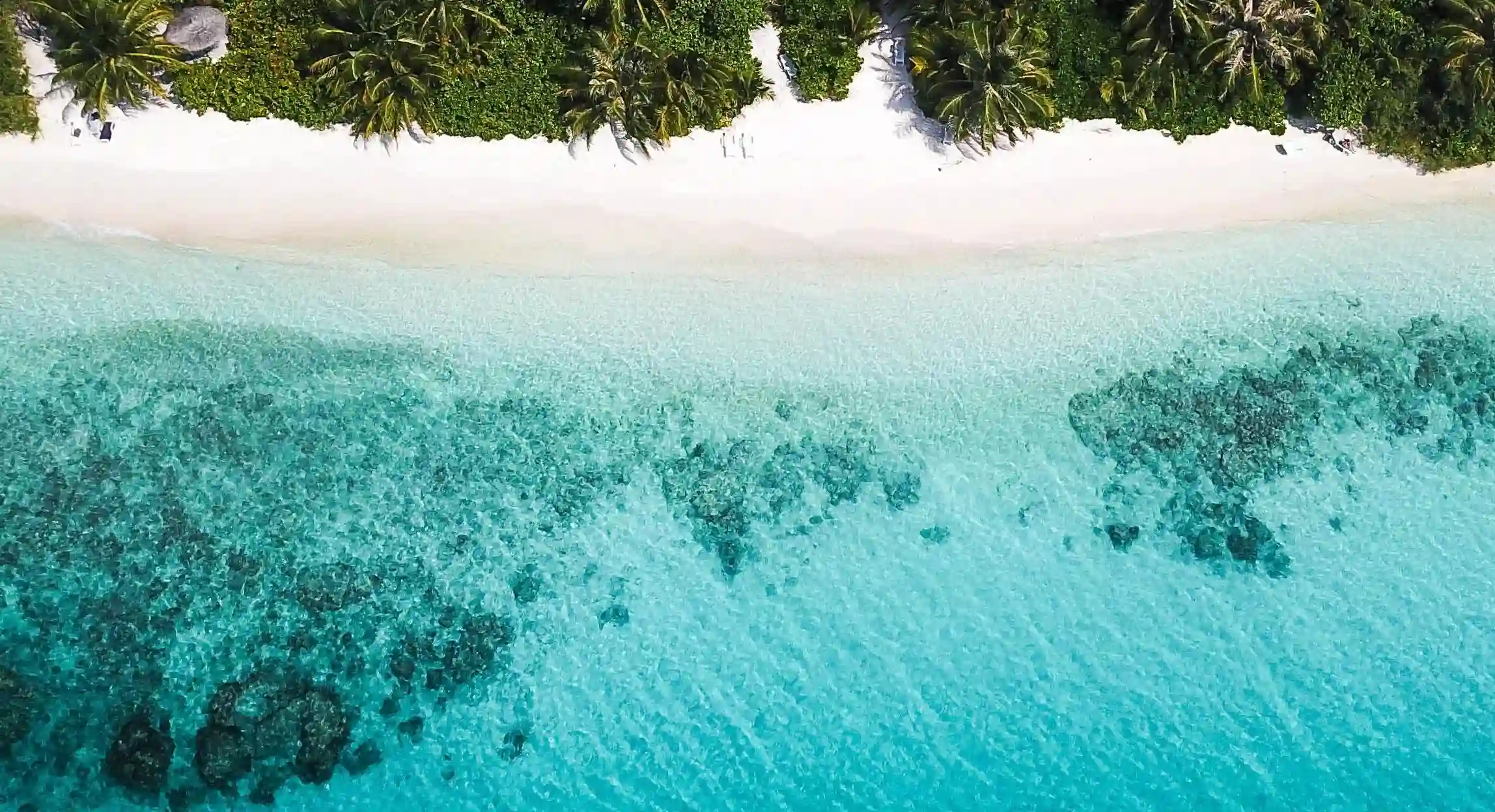 如何理智選擇愛情：你真的懂得愛情的真諦嗎？