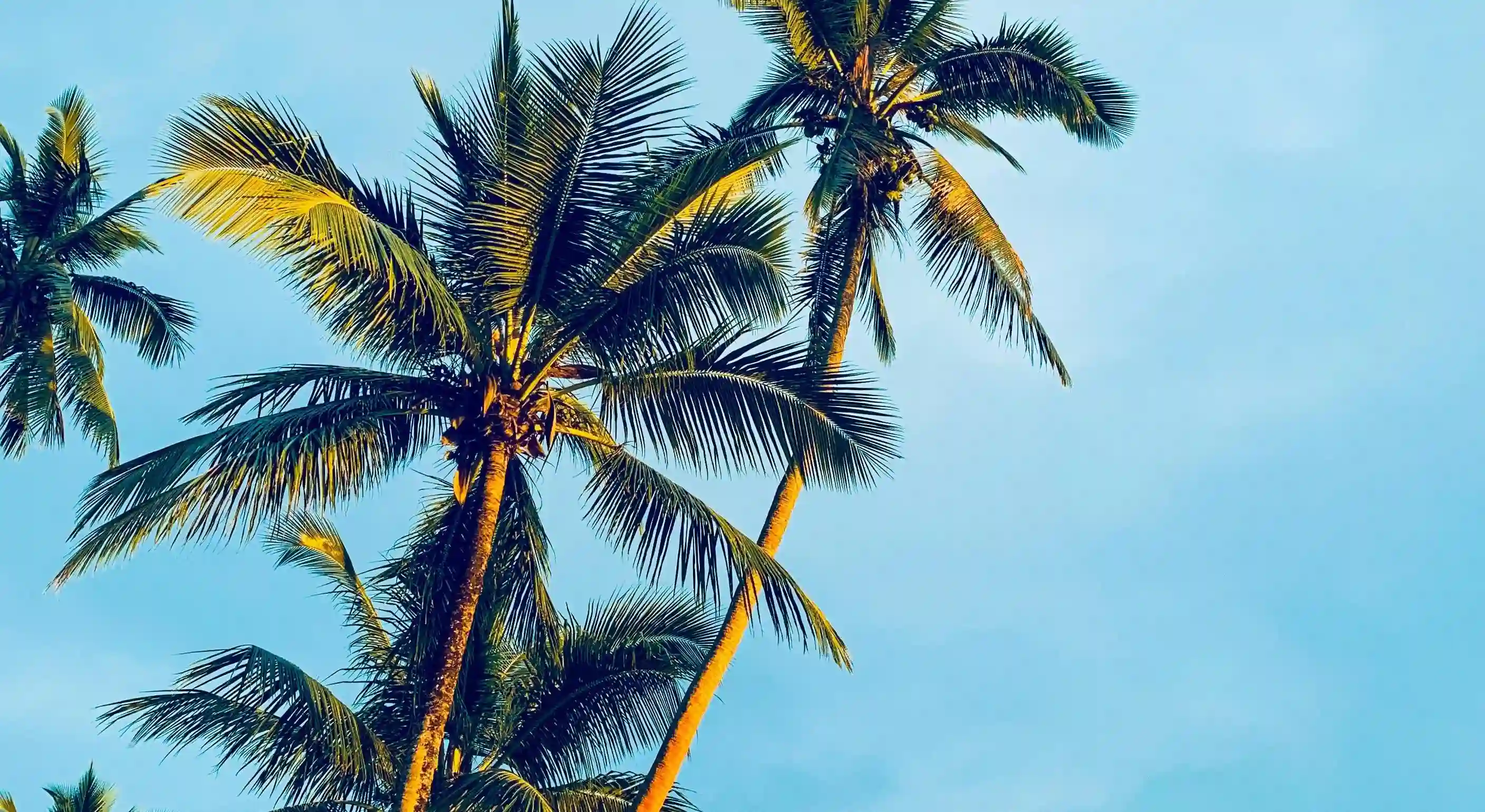 分手後他還在想你？揭開男生心中後悔的五個跡象