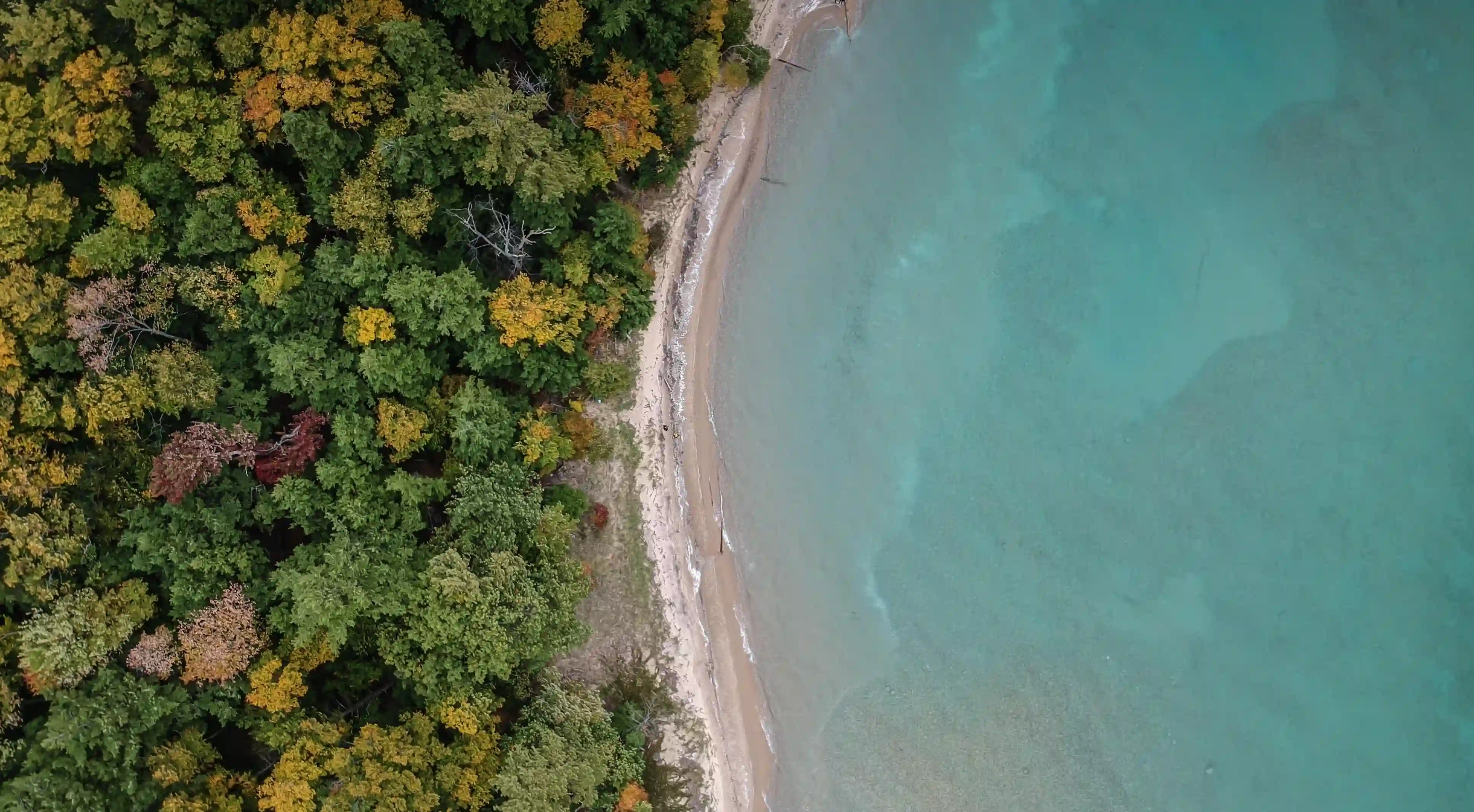 神秘與熱情的碰撞：水瓶座與獅子座的愛情配對分析