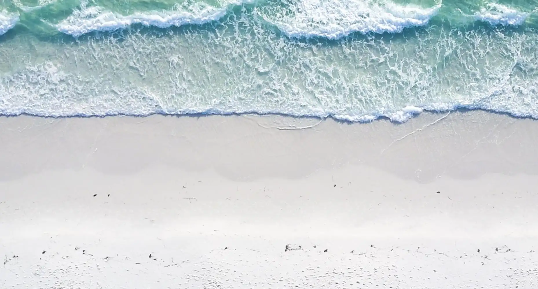 如何讓他心動？五個追男生的技巧揭示愛情的秘密