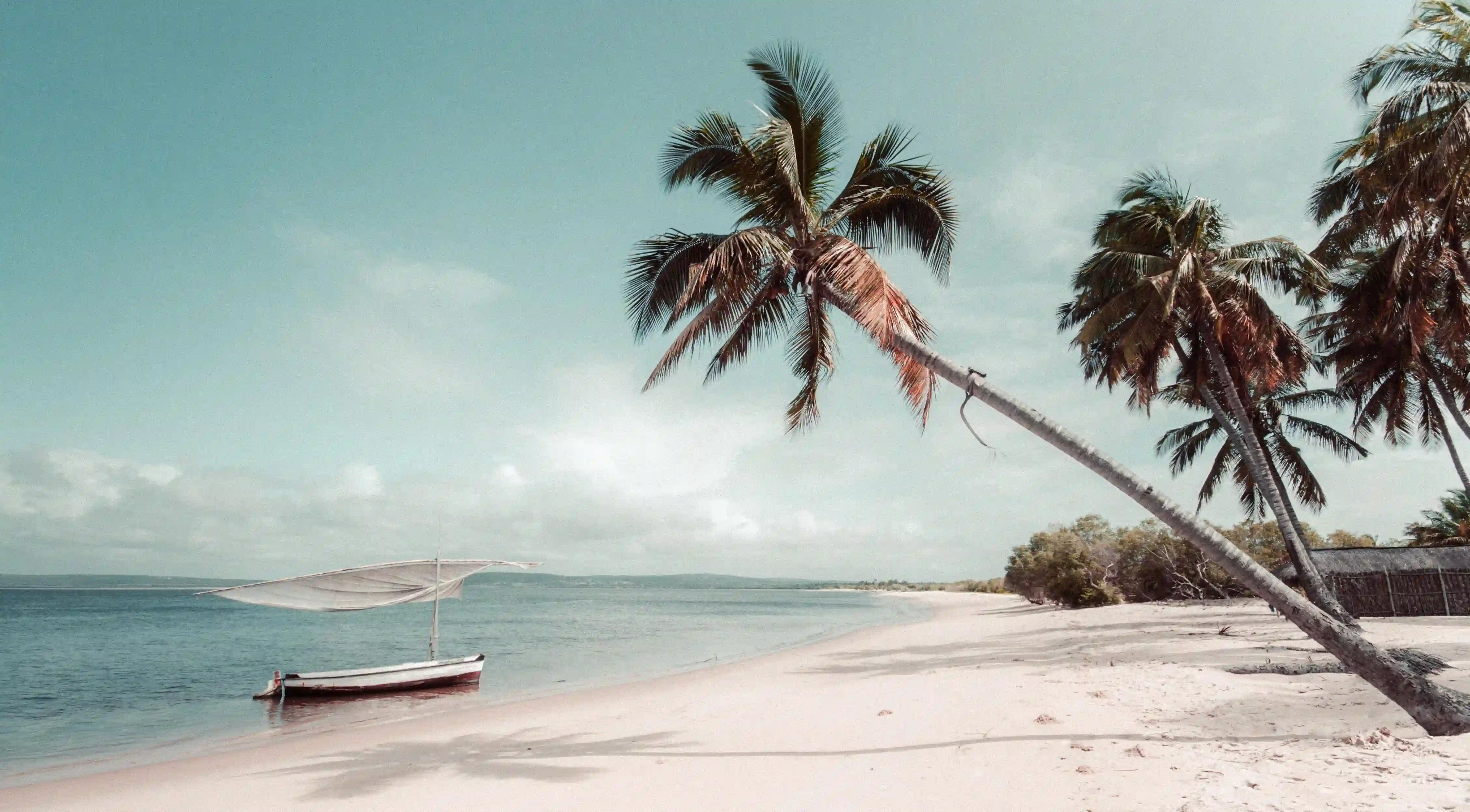 揭開星座戀愛的秘密：四大活躍星座女生如何主導愛情