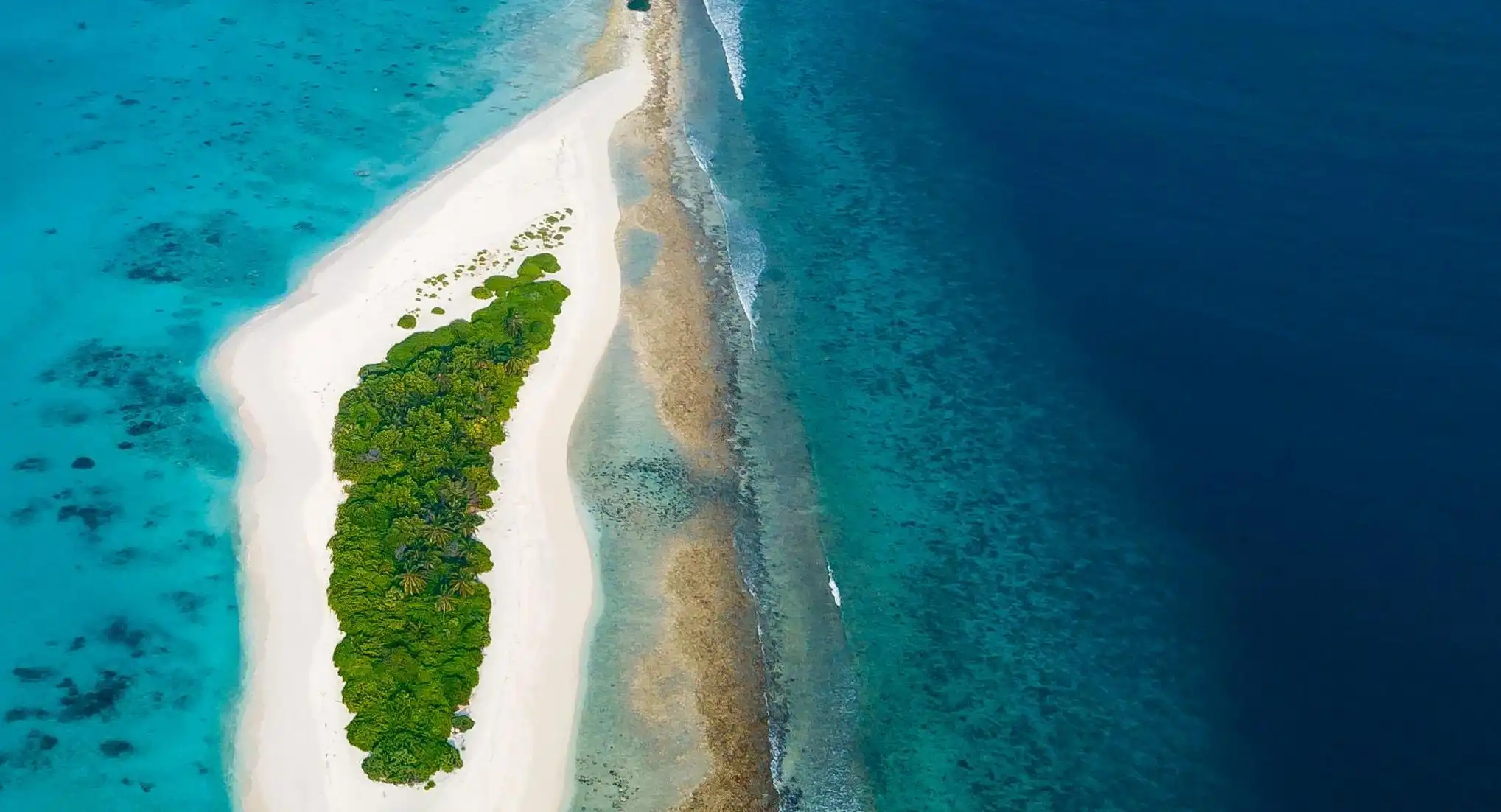 為什麼他對你冷漠，卻對她熱情似火？揭開愛情中的真相