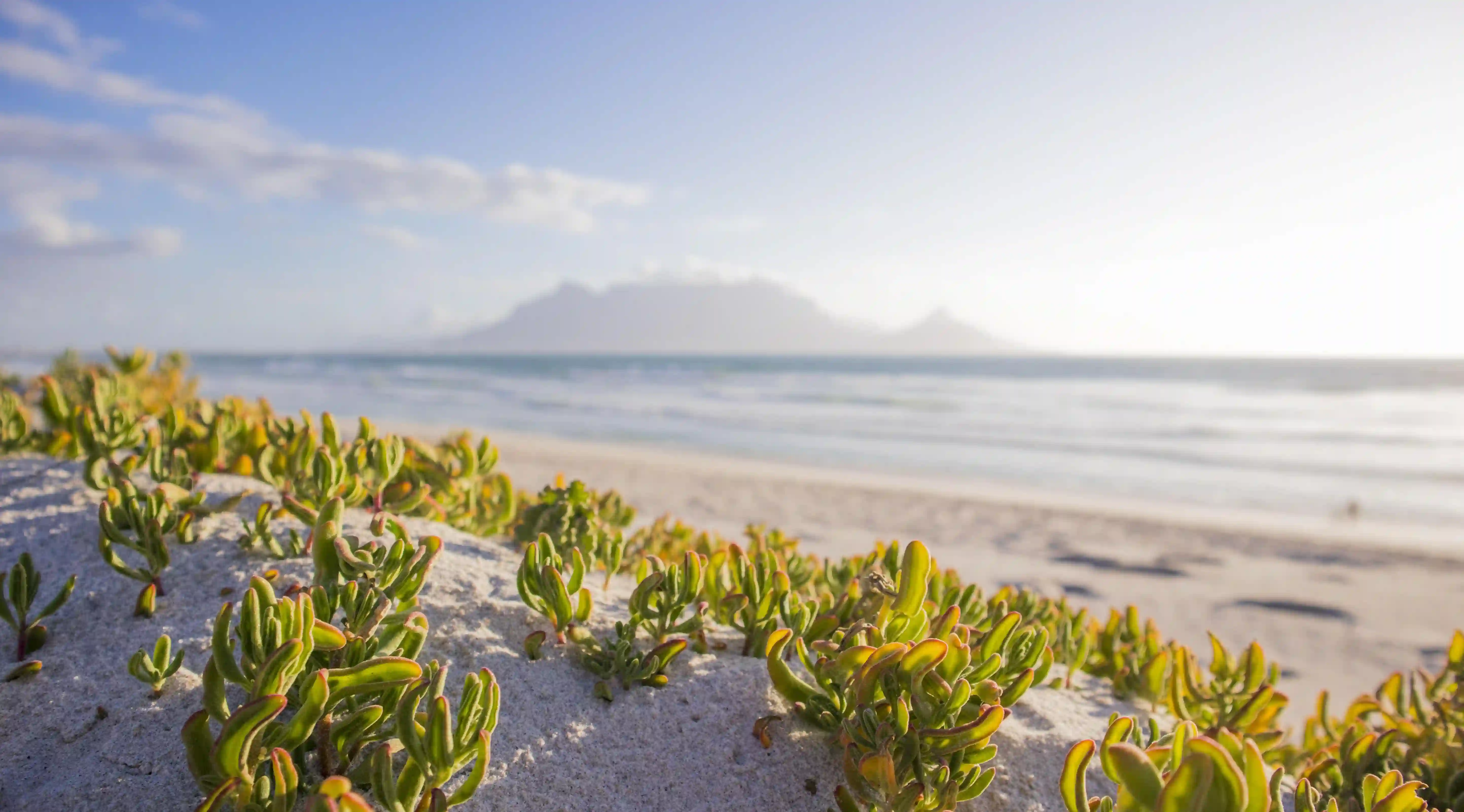 你知道嗎？異地戀其實能成功的五個秘密！