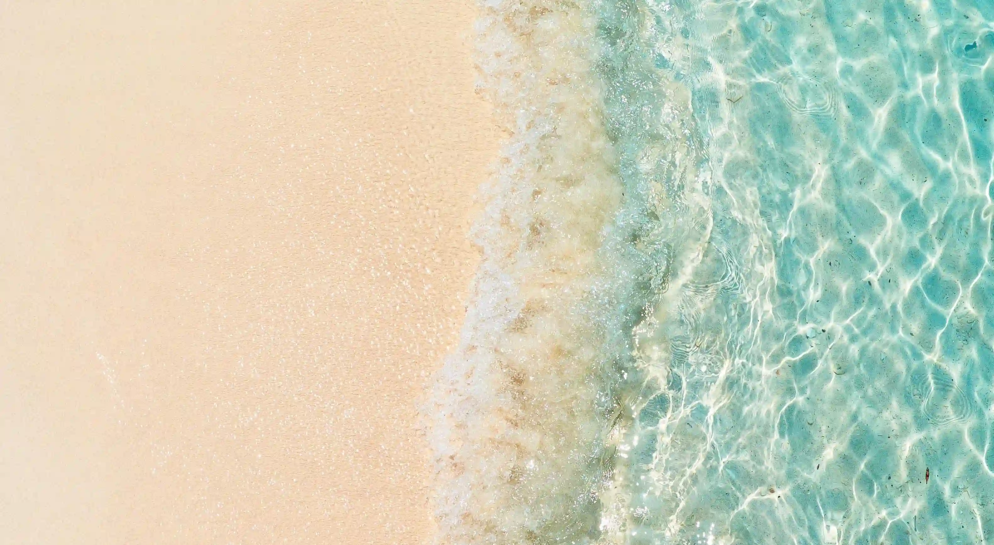 相親過程中的秘密：如何在短時間內瞭解對方的真實面貌？