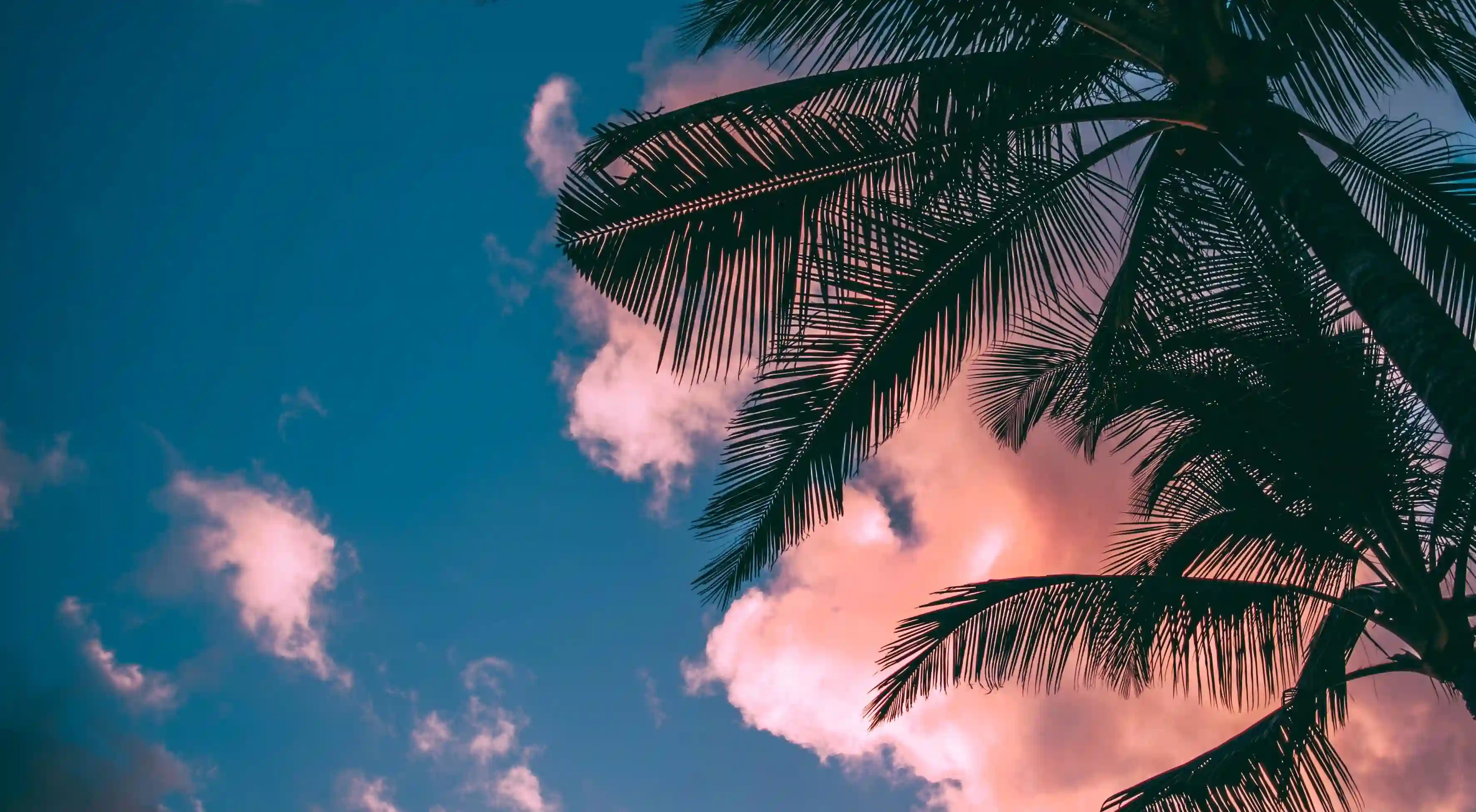 她們擁有什麼特質？揭開男人心中理想伴侶的神秘面紗