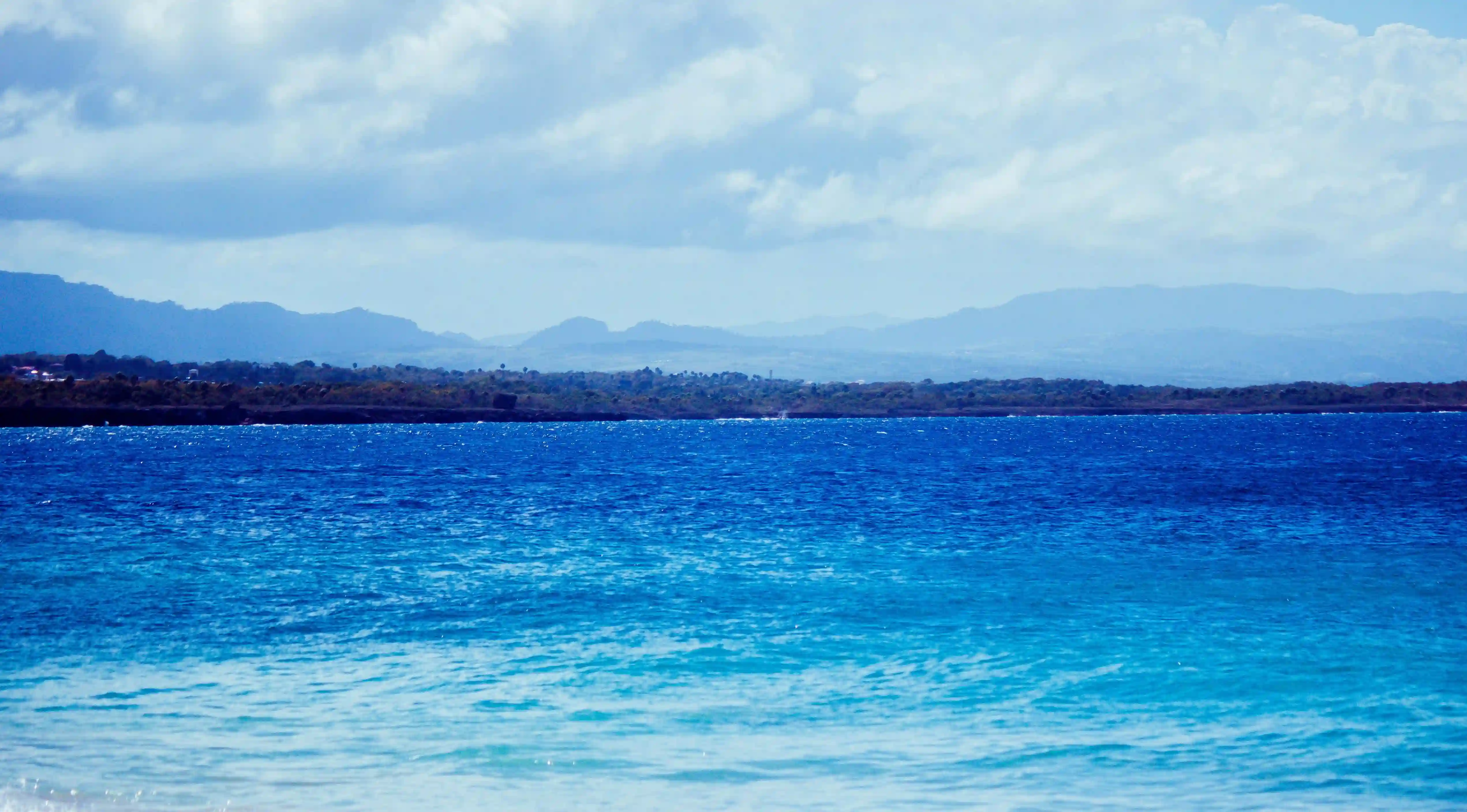 為什麼優秀女生依然單身？五大原因與追求技巧大揭秘