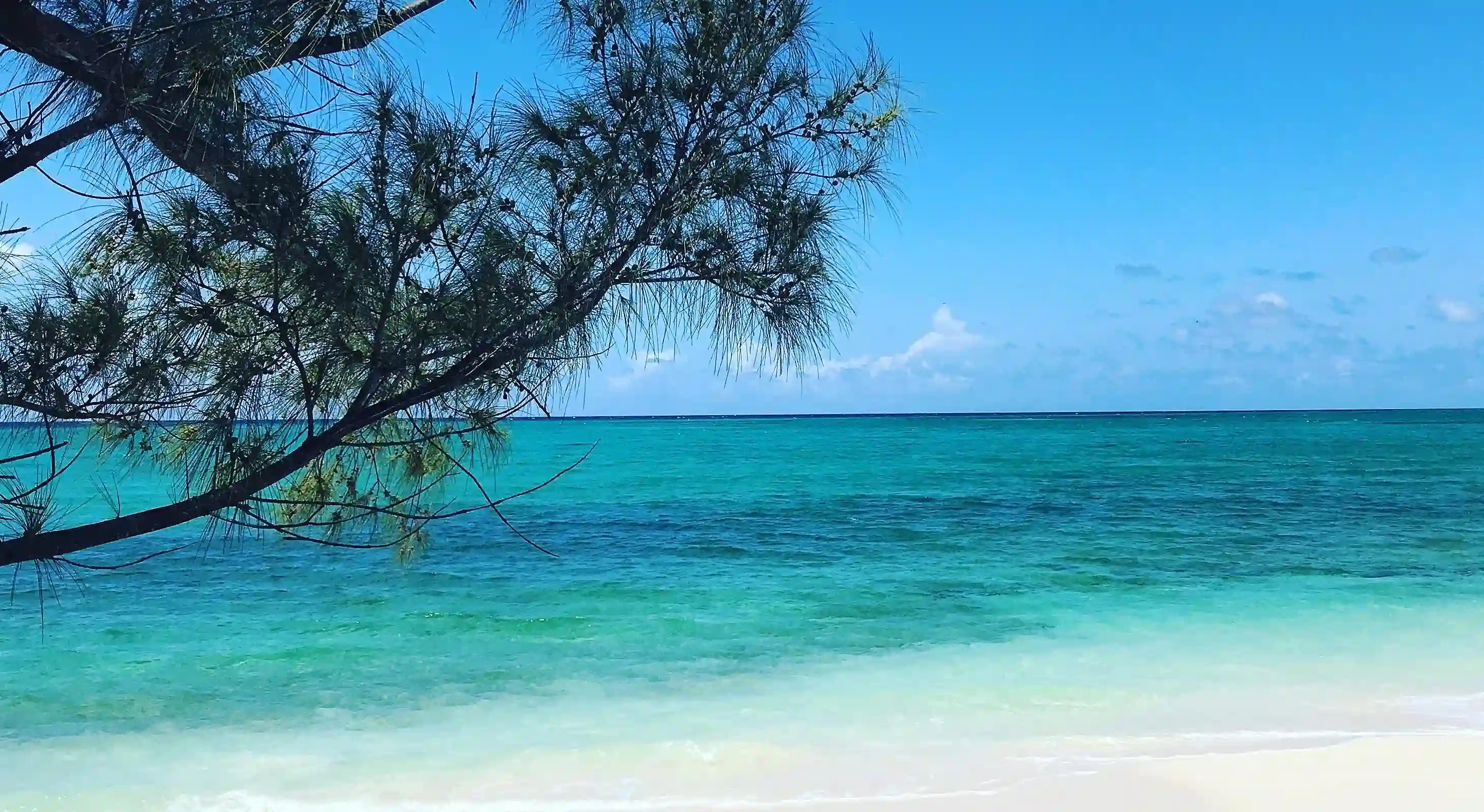 如何打破甜蜜的枯竭期？揭開情侶倦怠期的真相與解決之道