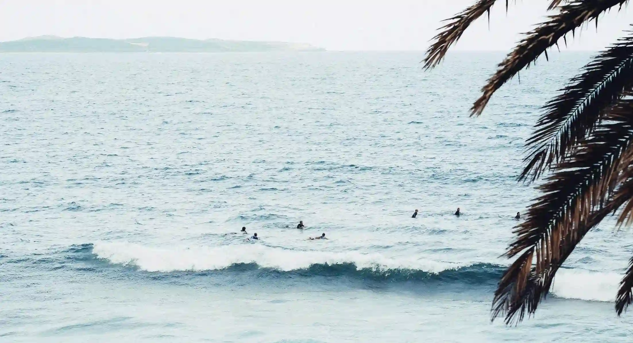 當愛情遭遇背叛：五個關鍵步驟助你面對男友出軌的挑戰